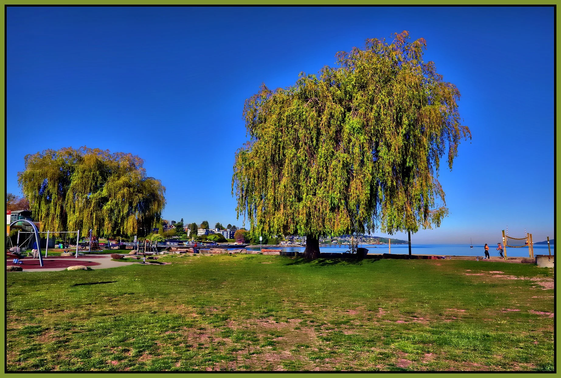 Kits Beach Trees_May 8_2024_HDR_4H8382_peHdr2013_1_4x6s.jpg