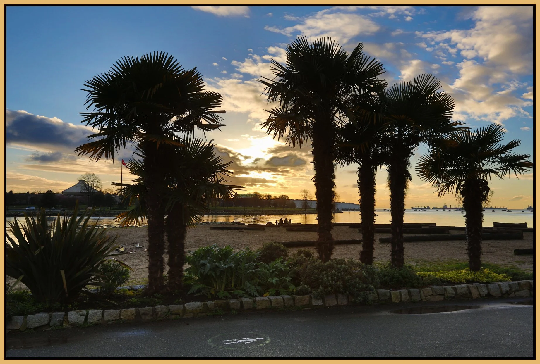 English Bay Sunset Palms_Mar 7_2016_HDR_K0236_4x6s.jpg