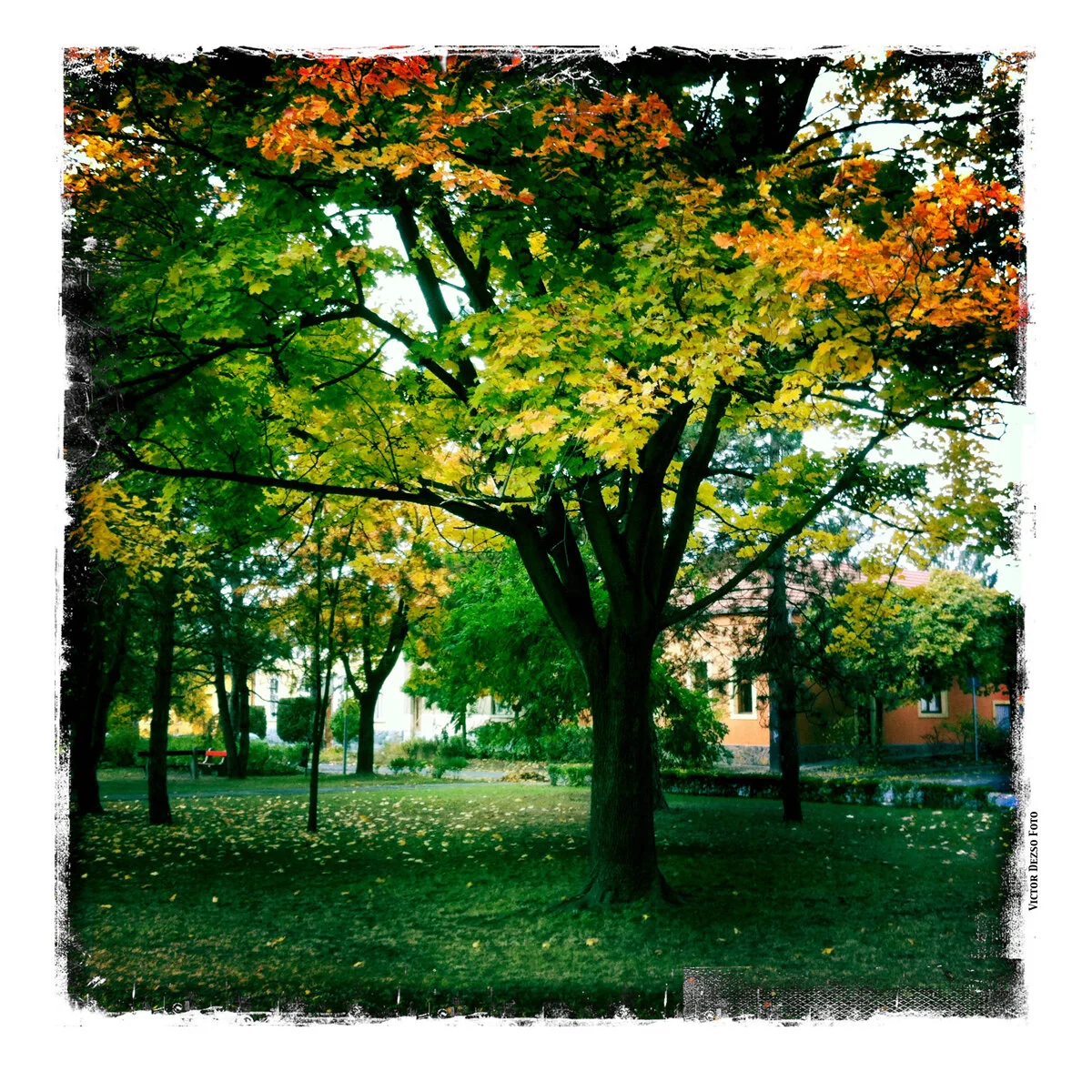 Vác_Oct 26_2011_0903_4x4.jpg