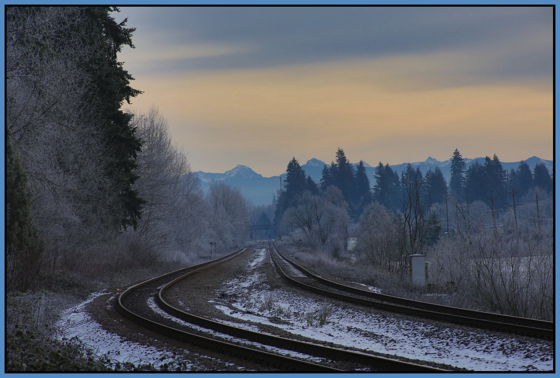 Langley Trees_Jan 2_2018_HDR_L0483_4x6s.jpg