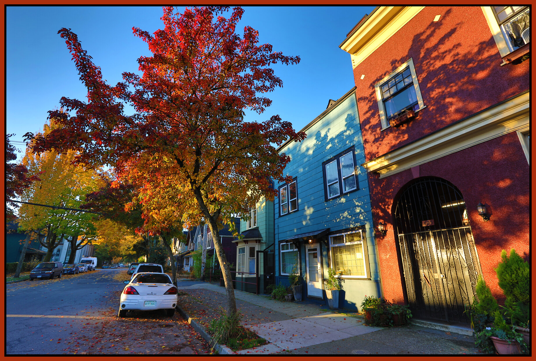 405 Heatley St Trees_Oct 28_2017_HDR_B4788_4x6s.jpg