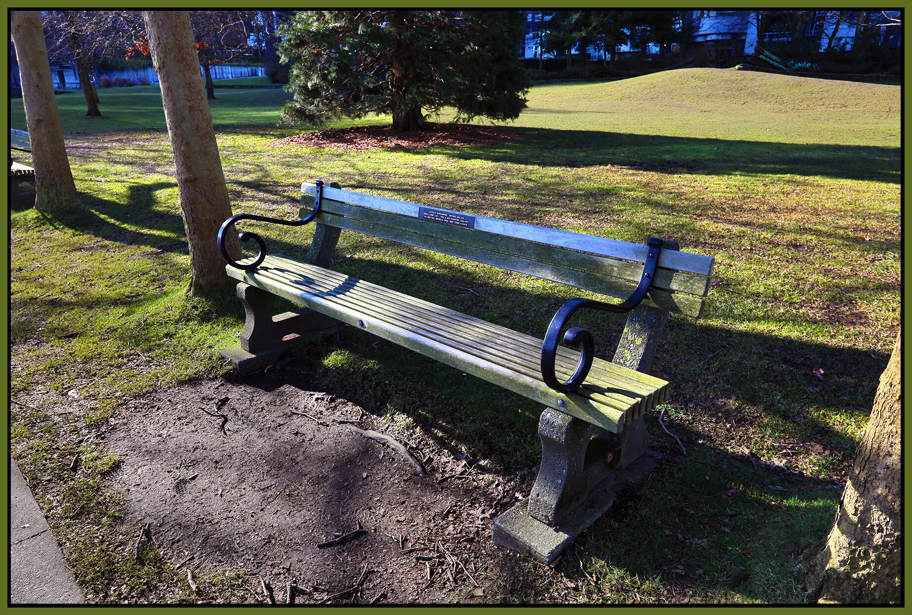 Bench Harbour Green Pk_Mar 10_2019_HDR_E5410_4x6s.jpg