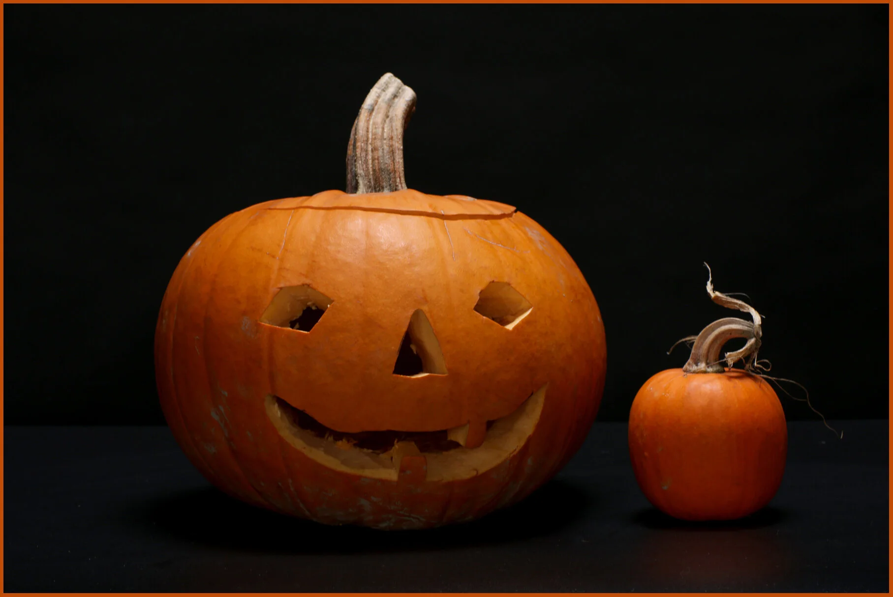 Pumpkins_Oct 30_2013_D2249_4x6s.jpg