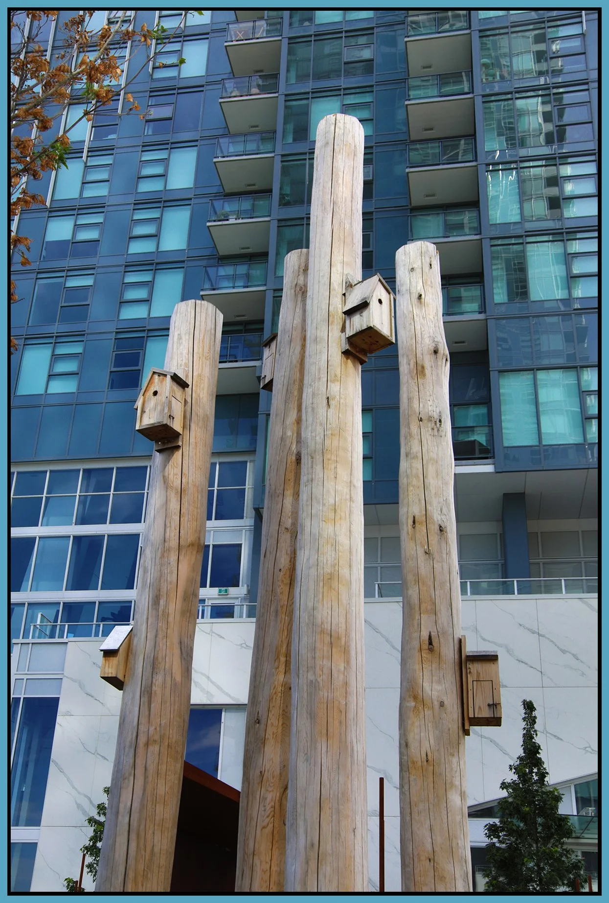 New West 680 Quayside Dr Bird Houses_Jul 30_2026_HDR_4L7888_4x6s.jpg