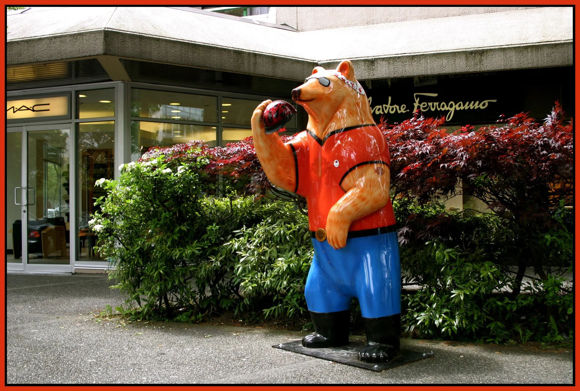 Bear_Jun 1_2006_6858_1_4x6s.jpg