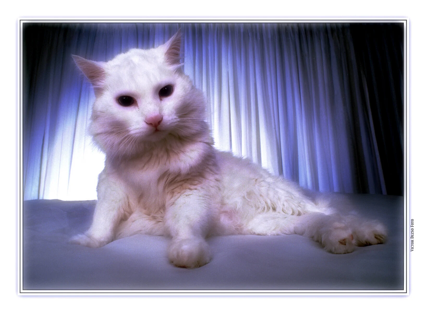 Beau_Nov 30_1998_2_2_4x6s.jpg