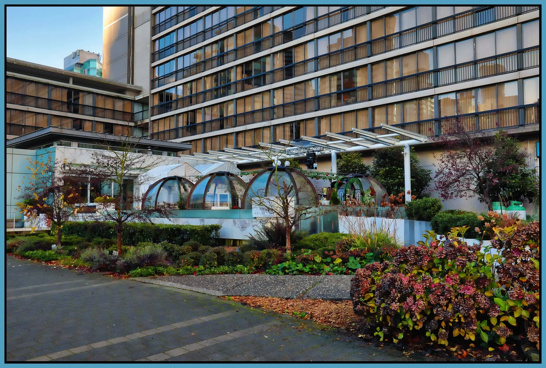 Bayshore Patio_Dec 6_2025_HDR_4K5911_peShdngCntrst_4x6s.jpg