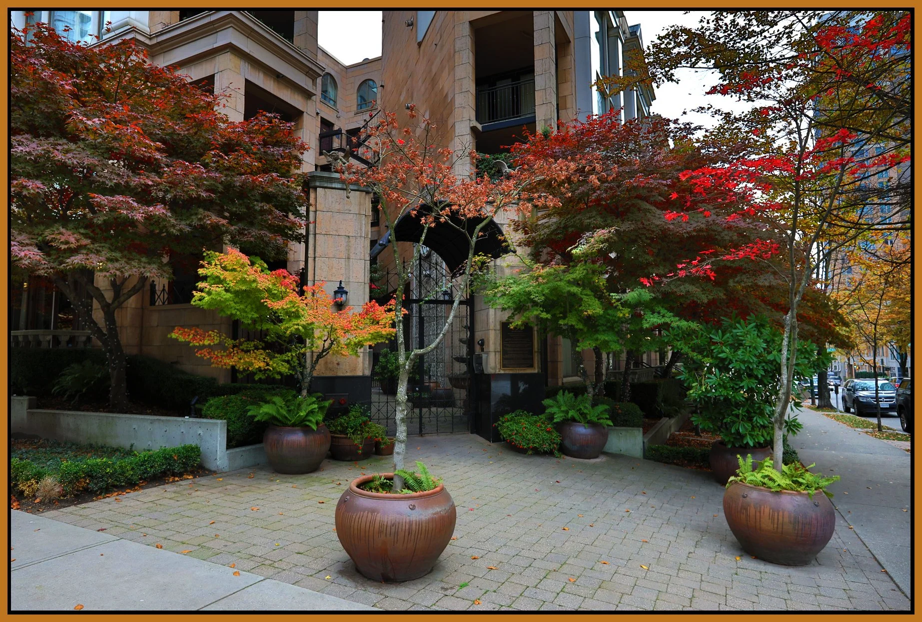 499 Drake Trees_Nov 7_2017_HDR_B8142_1_4x6s.jpg