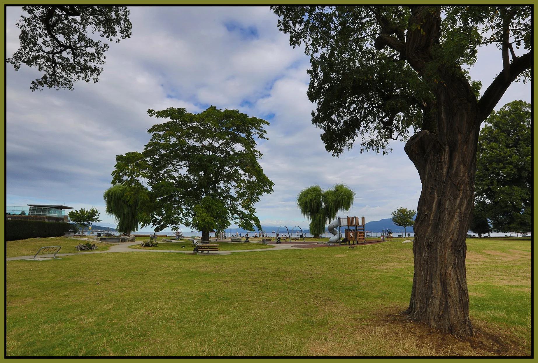 Kitsilano Beach Trees_Aug 17_2025_HDR_4K1212_4x6s.jpg