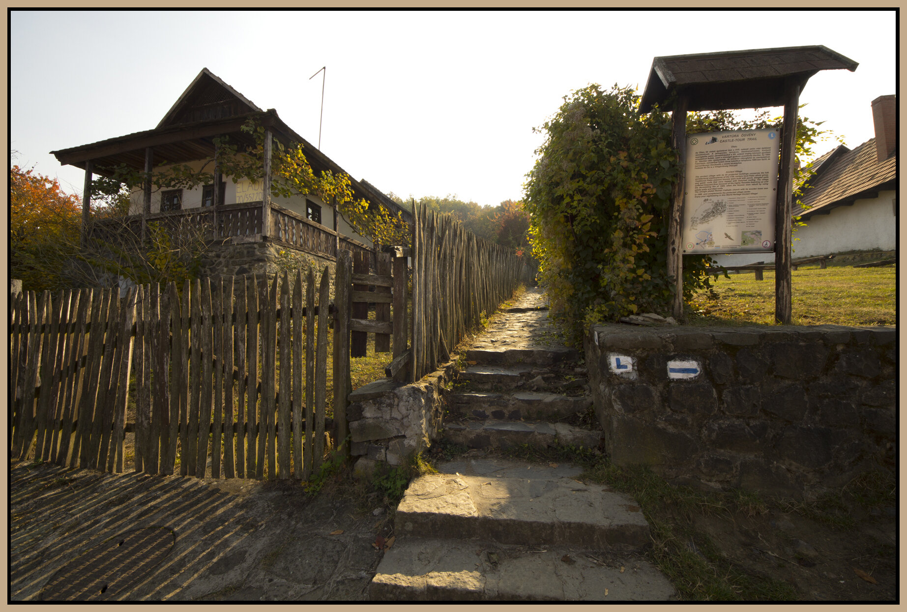 Vizslás_Nov 1_2011_9440_4x6s.jpg