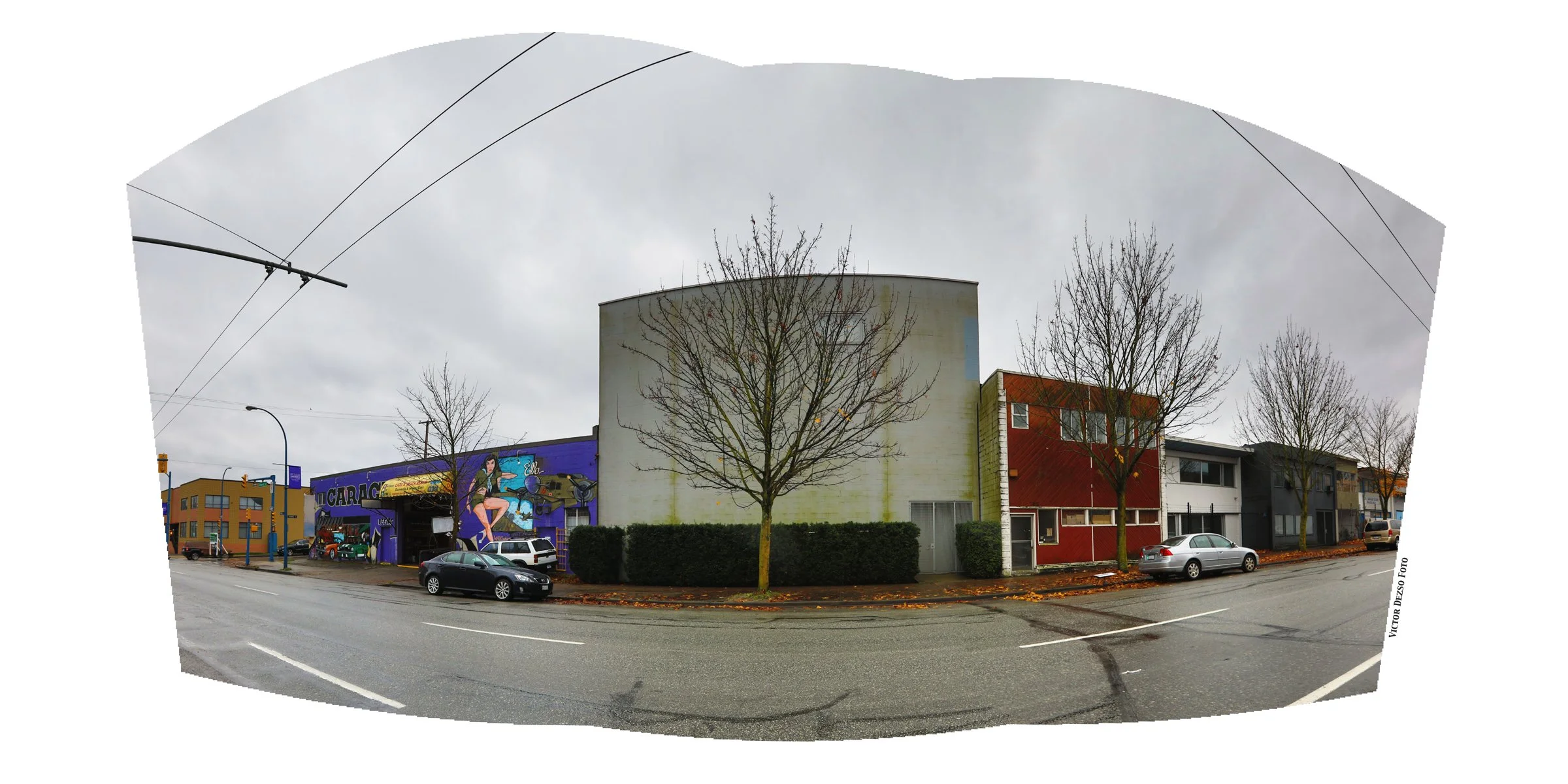 790 Powell Tree_Nov 18_2017_HDR_Pan_B0247_4x8.jpg