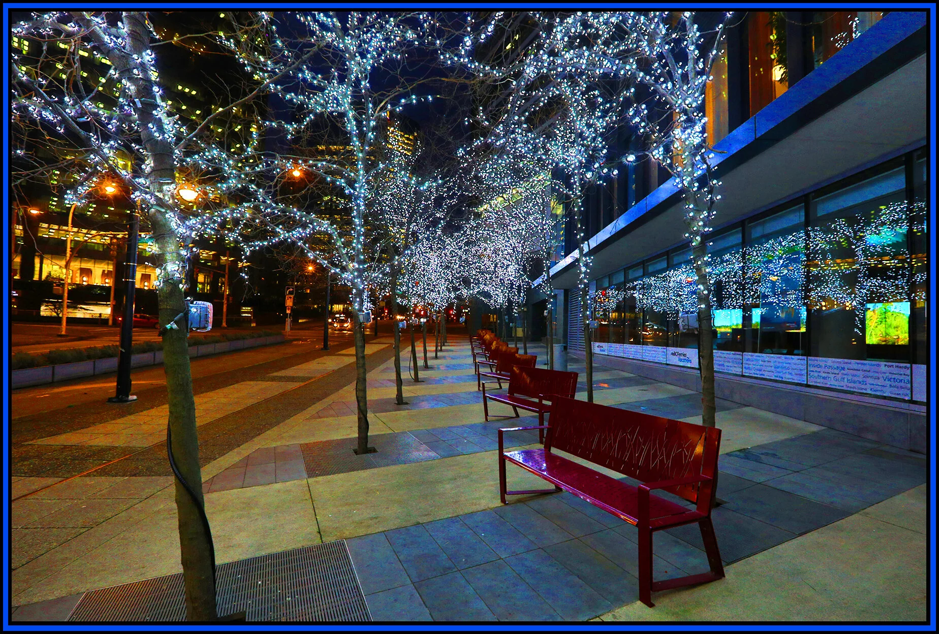 PacRim Trees & Benches_Dec 23_2019_HDR_F9721_4x6s.jpg