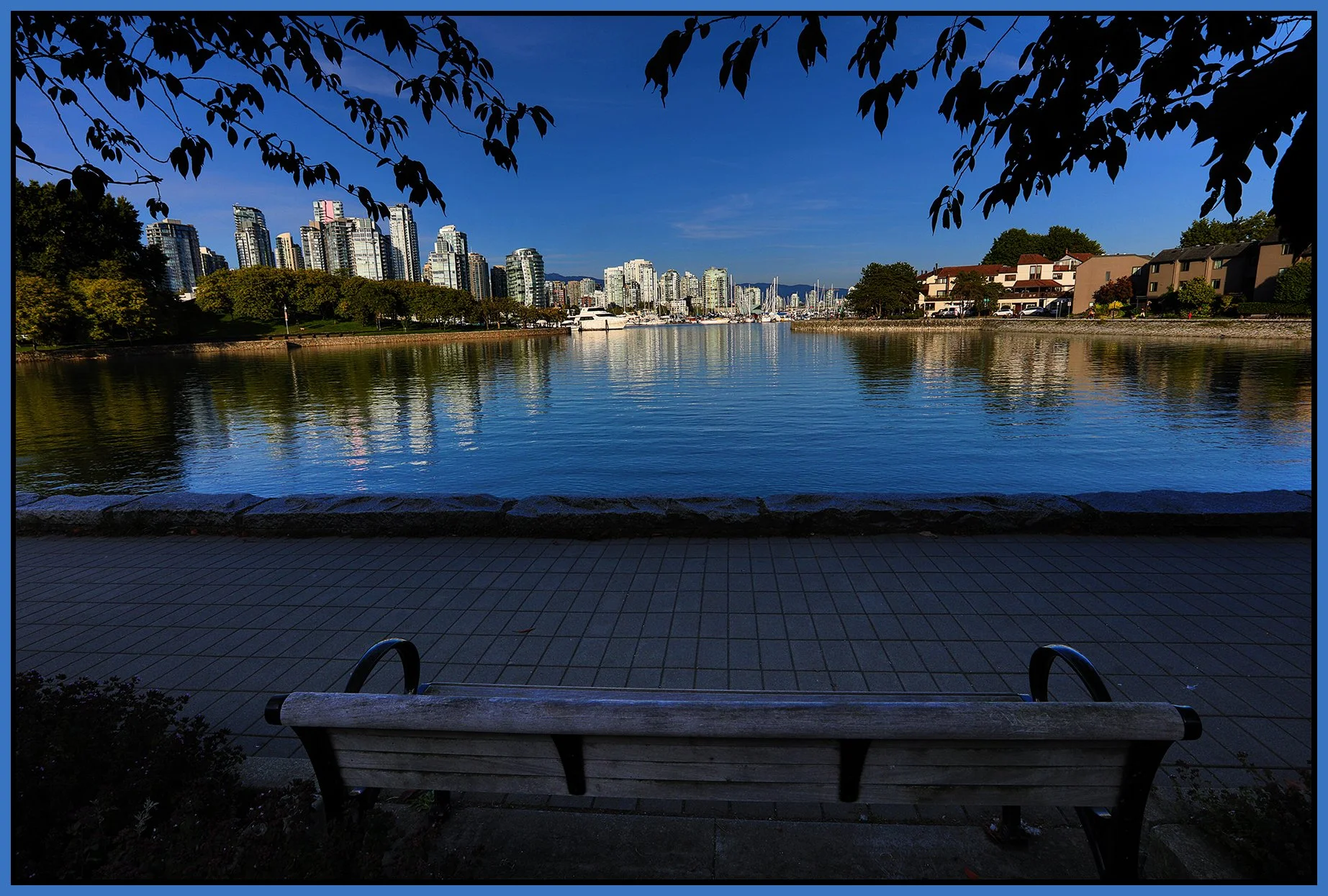 Vancouver Bench from False Creek_Sept 19_2025_HDR_4K3171_peSGC_4x6s.jpg