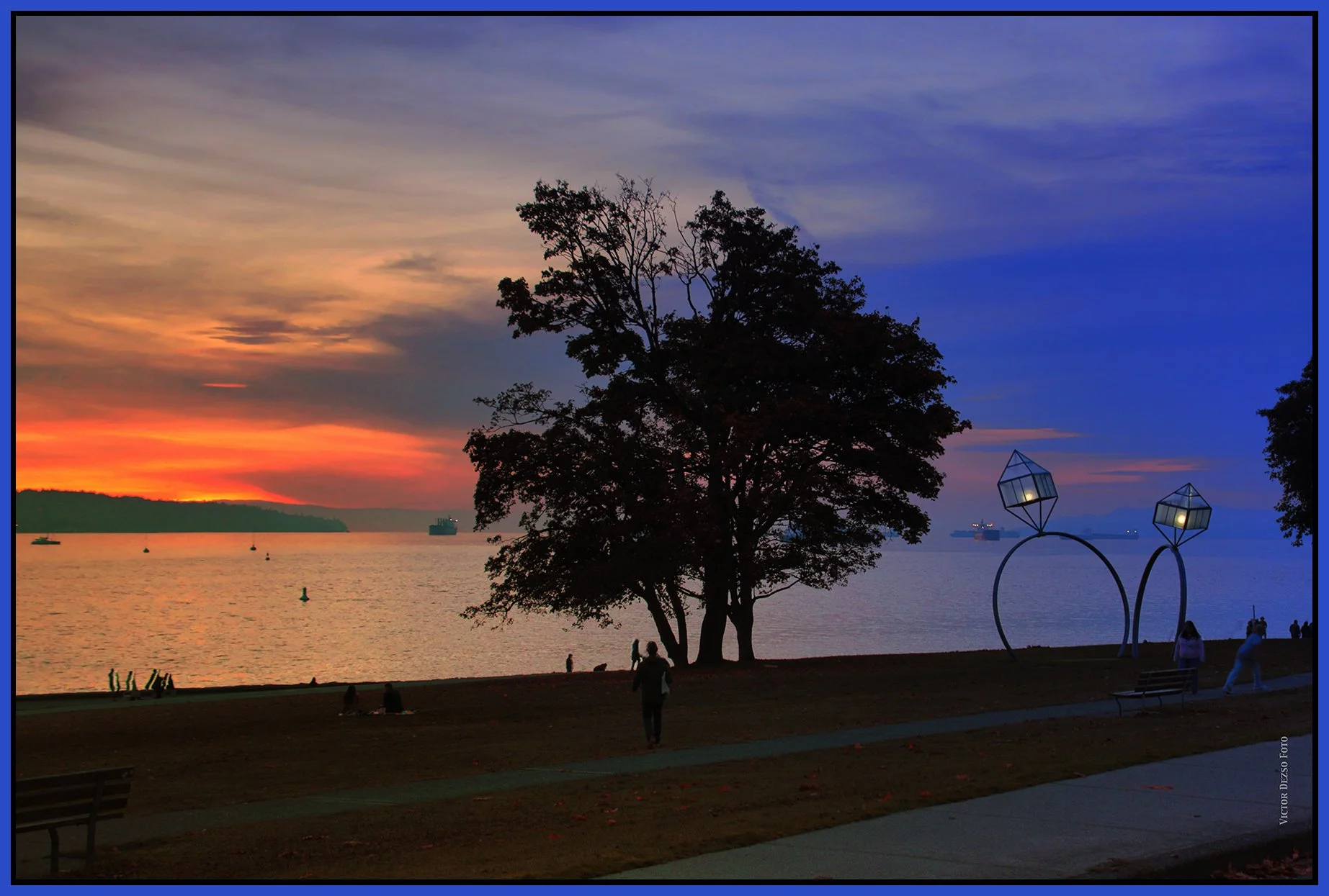 English Bay Tree from Beach Ave_Oct 8_2026_HDR_5F6537_peW&CContrst_4x6s.jpg