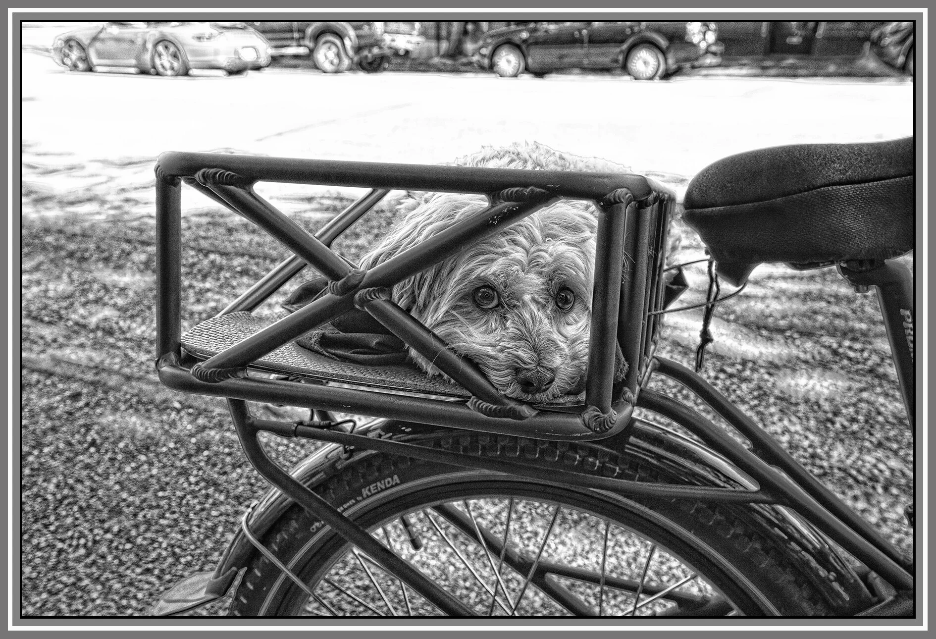 Luvee in Kits_July 1_2019_CR2_E4648_peSofterPncl_4x6s.jpg