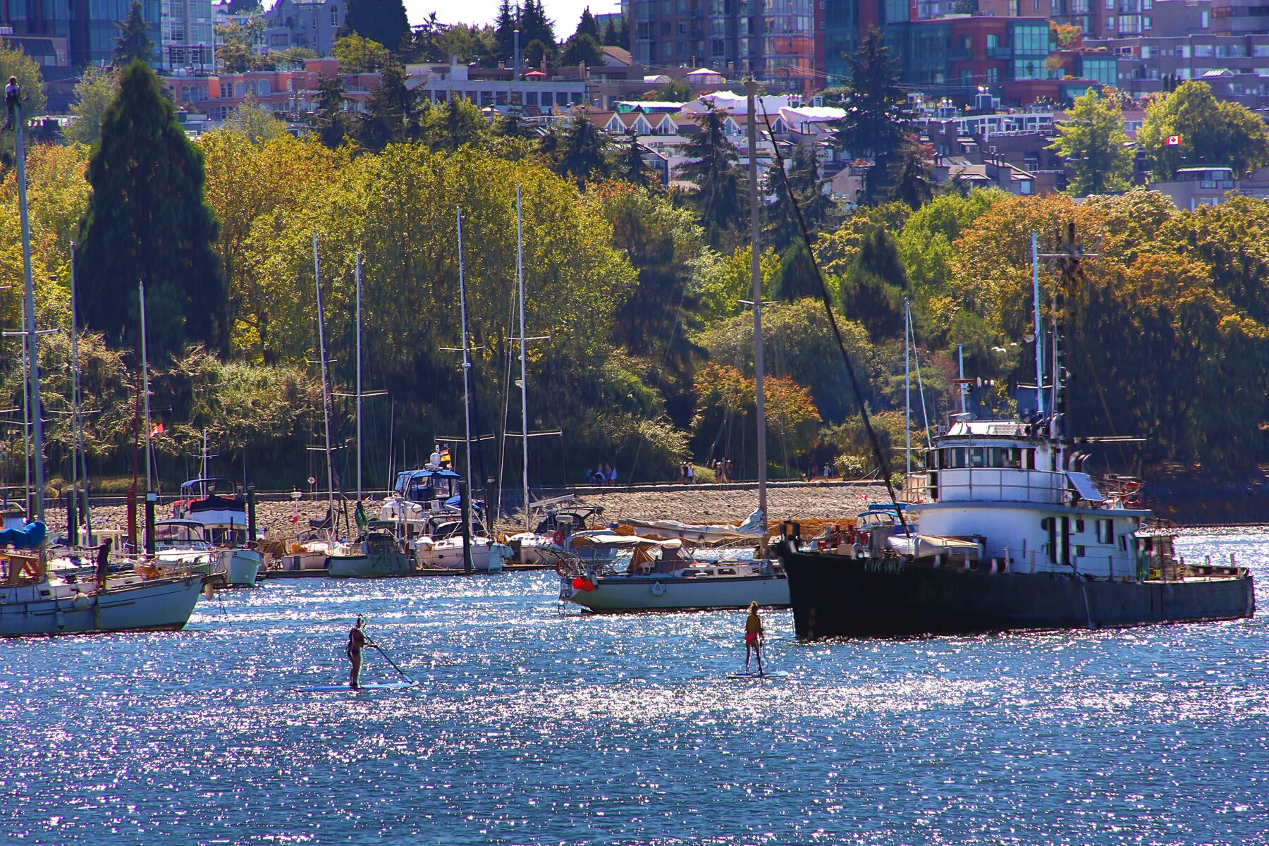 False Ck Boats_Aug 17_2016_HDR_L2640_4x6.jpg