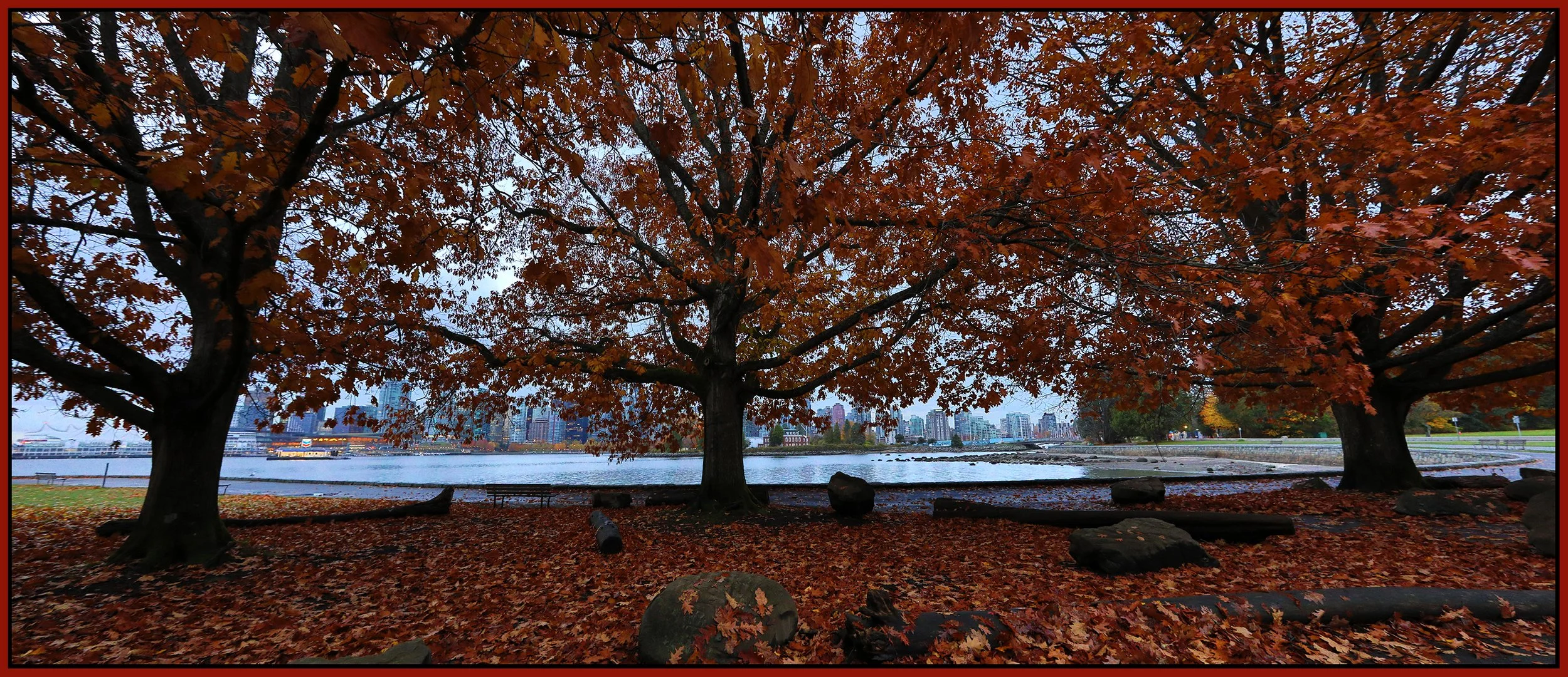 Vancouver from Stanley Park Trees_Oct 27_2021_HDR_Pan_5A8277_4x9s.jpg