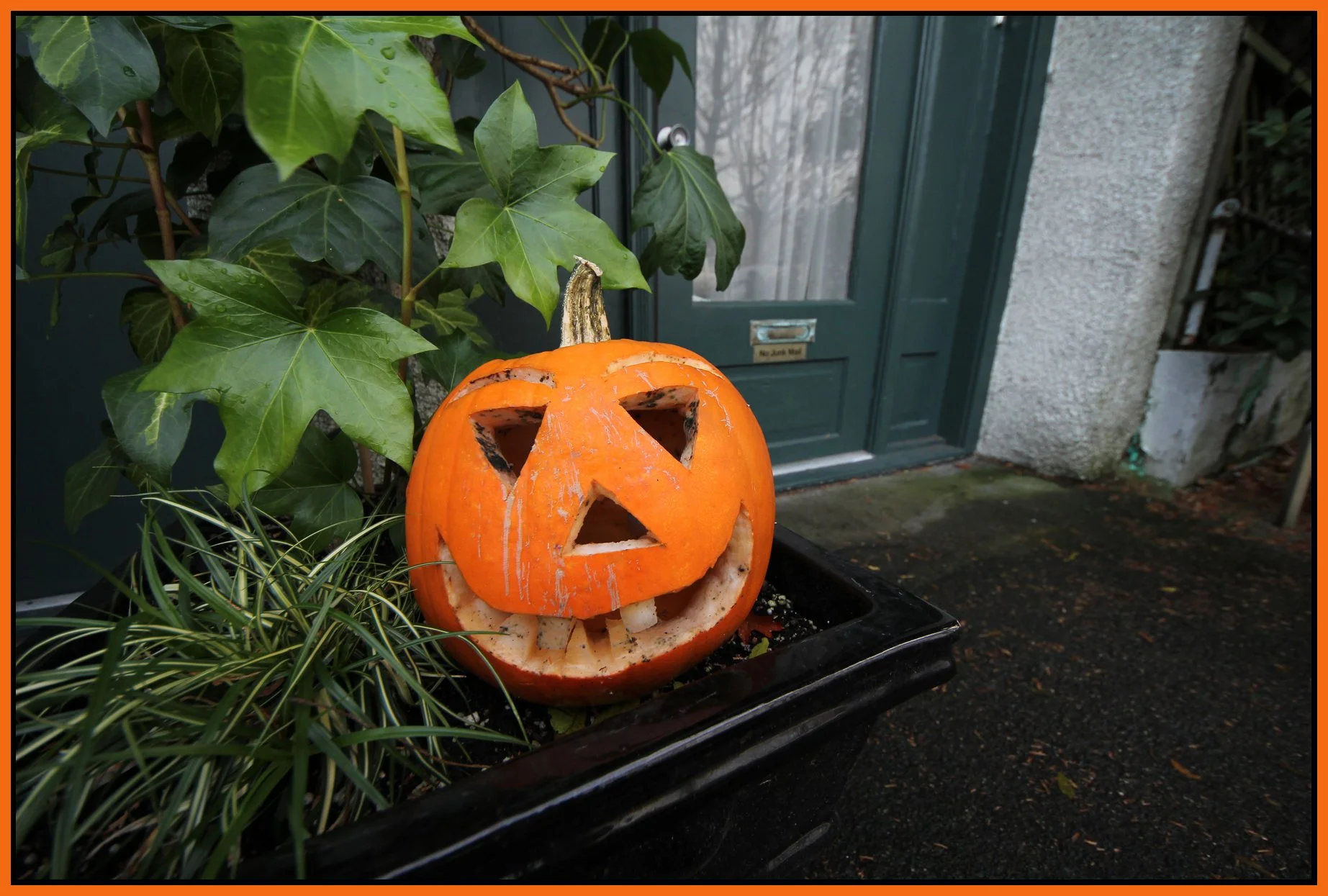 Pumpkin Heads_Nov 14_2011_2114_4x6s.jpg