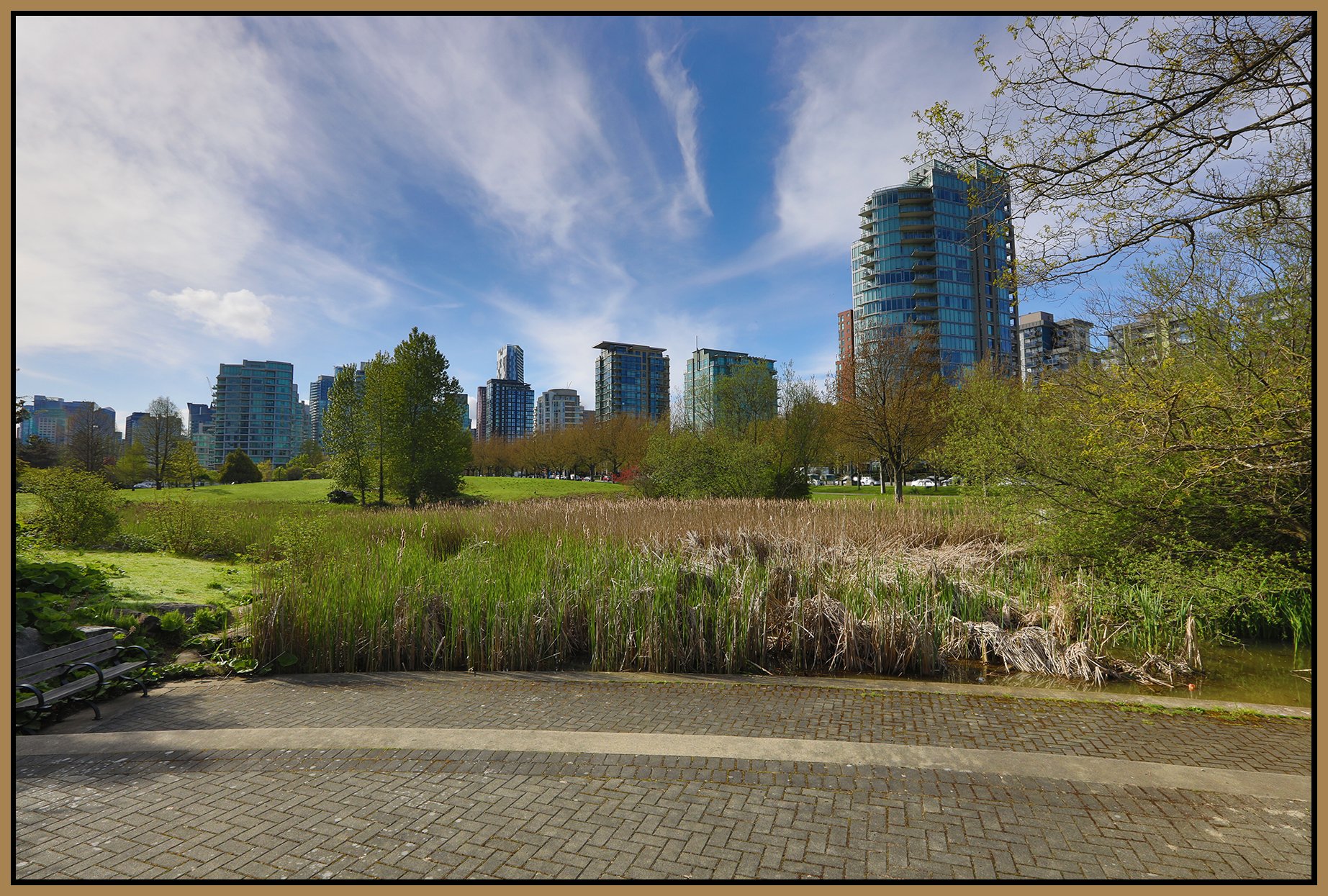 Devonian Park Bullrushes_May 8_2023_HDR_5C8583_4x6s.jpg