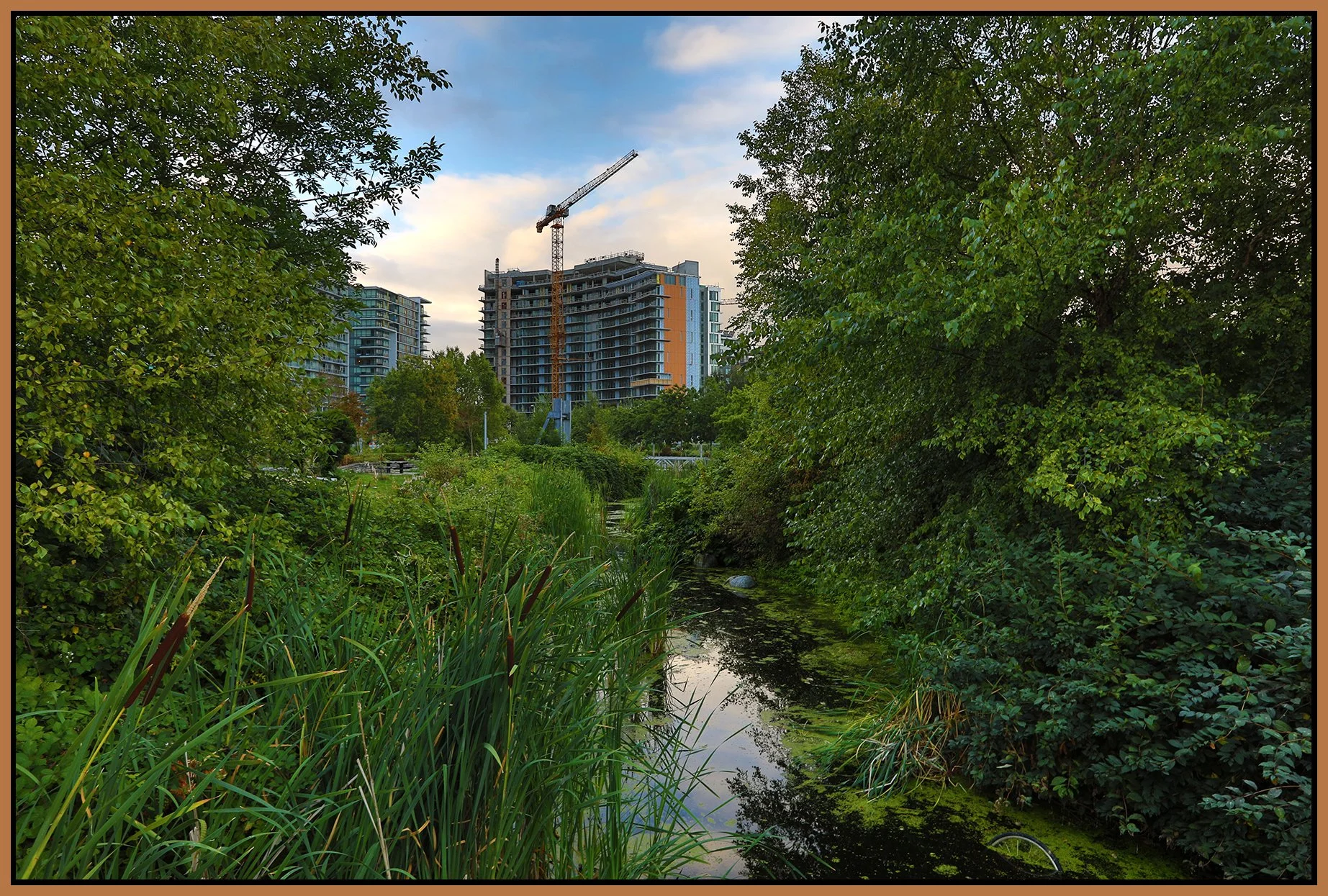 False Ck Creek Const_Aug 31_2020_HDR_4G3389_4x6s.jpg