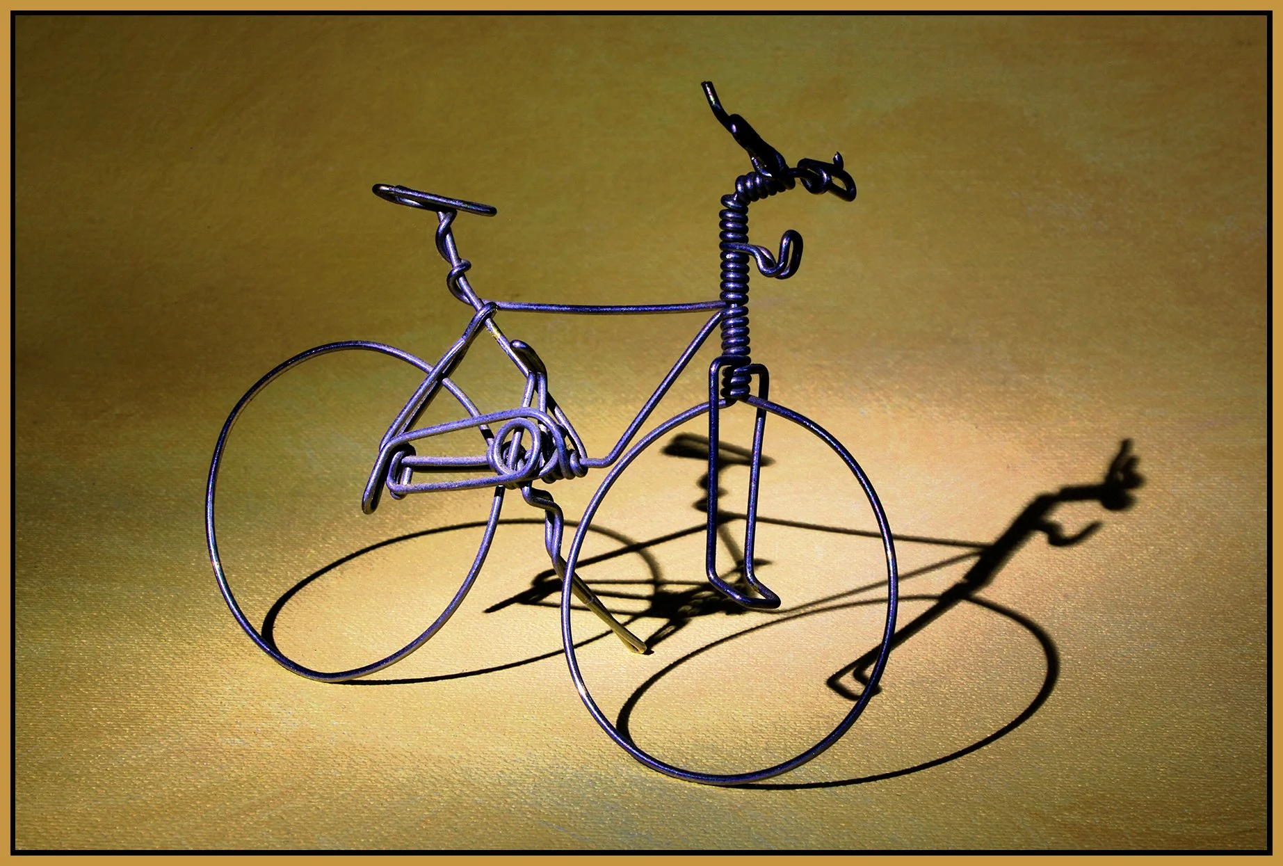 Wire Bike_Nov 7_2021_HDR_5A9785_peNatB II_Gc_4x6s.jpg