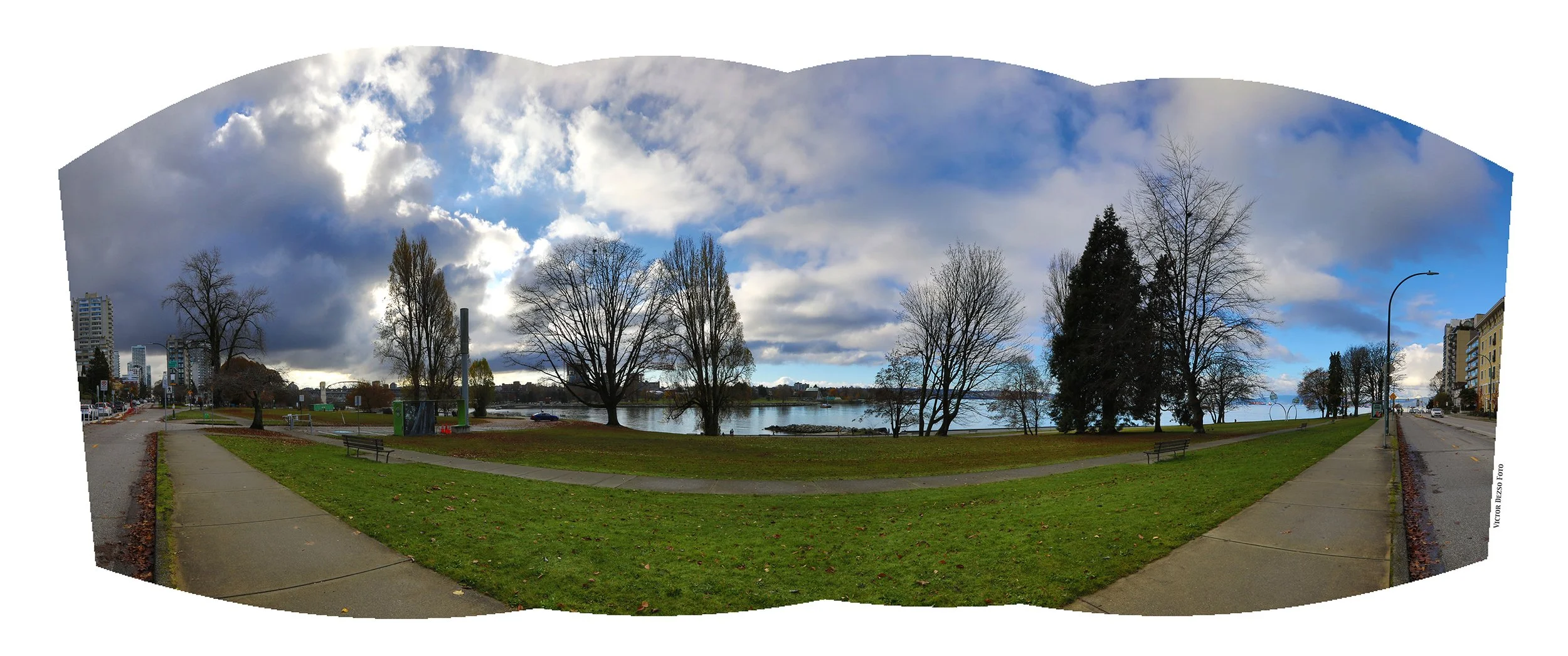 1400 Beach Ave Trees LkgS_Nov 15_2024_HDR_Pan_5E5138_4x10.jpg