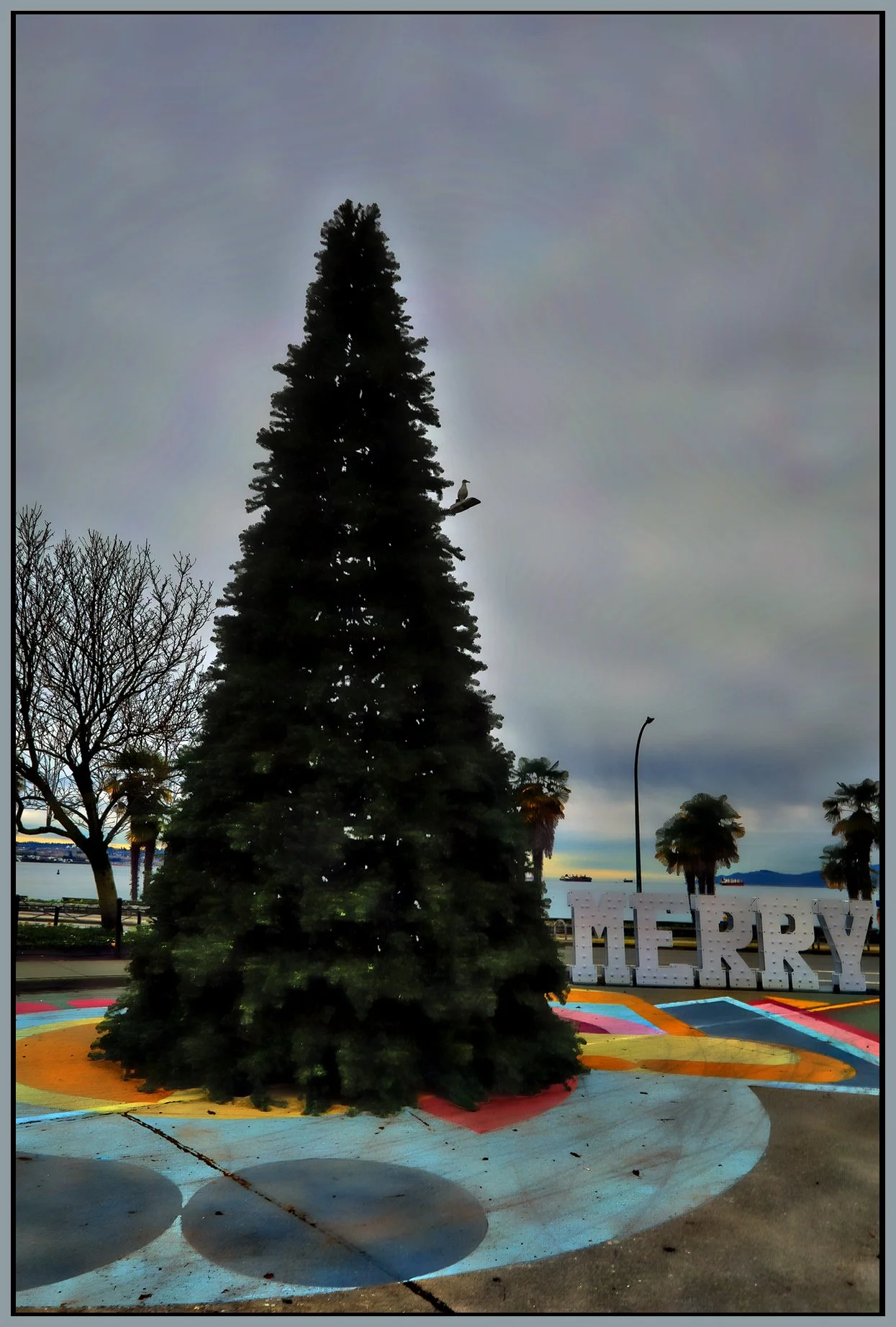 English Bay Xmas Tree_Nov 29_2025_HDR_4K5599_peHdr2013_1_4x6s.jpg