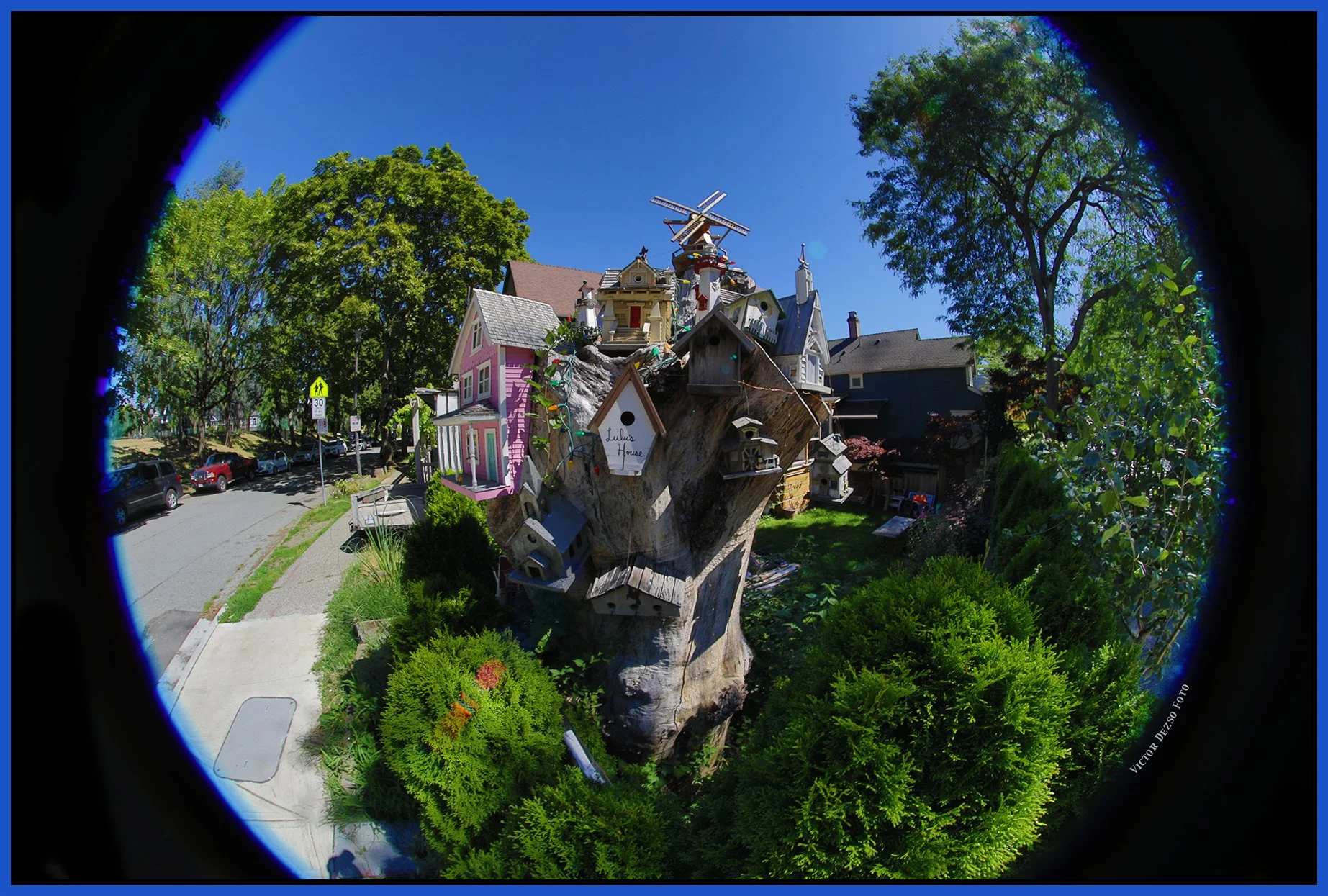 580 Heatley Tree Houses_Jul 31_2026_HDR_4L8440_4x6s.jpg