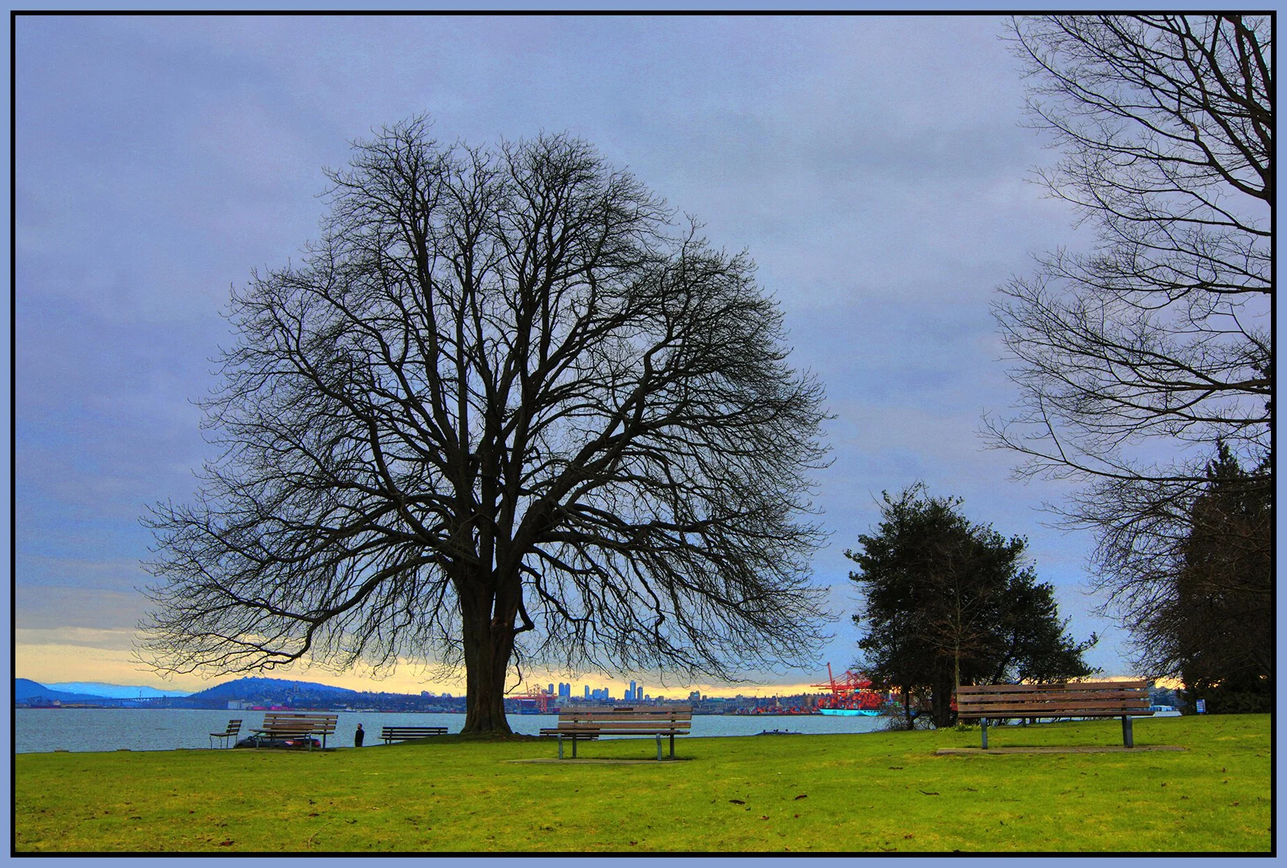 Stanley Park Lighthouse Tree LkgE_Feb 20_2026_HDR_5F6139_peVibr Clrs_4x6s.jpg