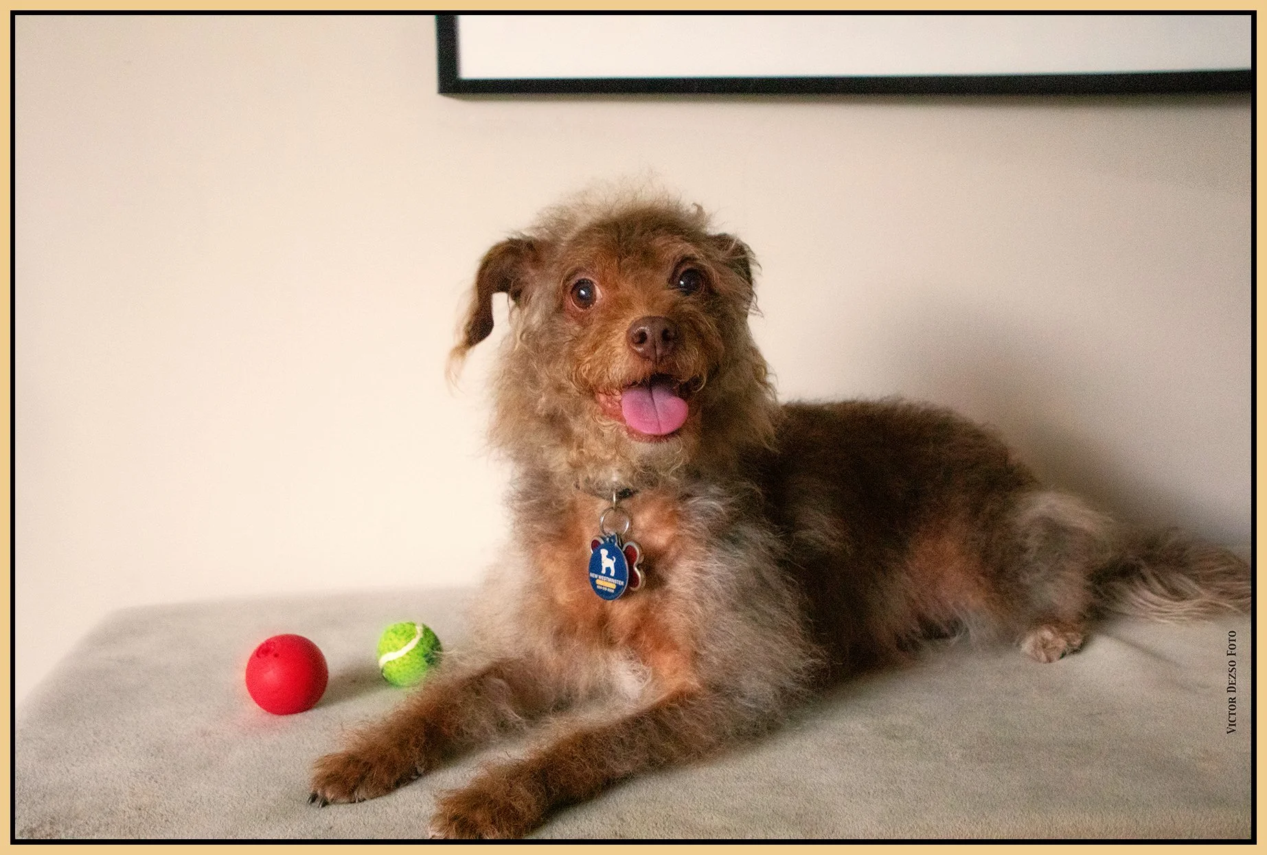 Frances_Mar 28_2024_CR2_4H5851_peSat&Glo_Hyprstrip_4x6s.jpg