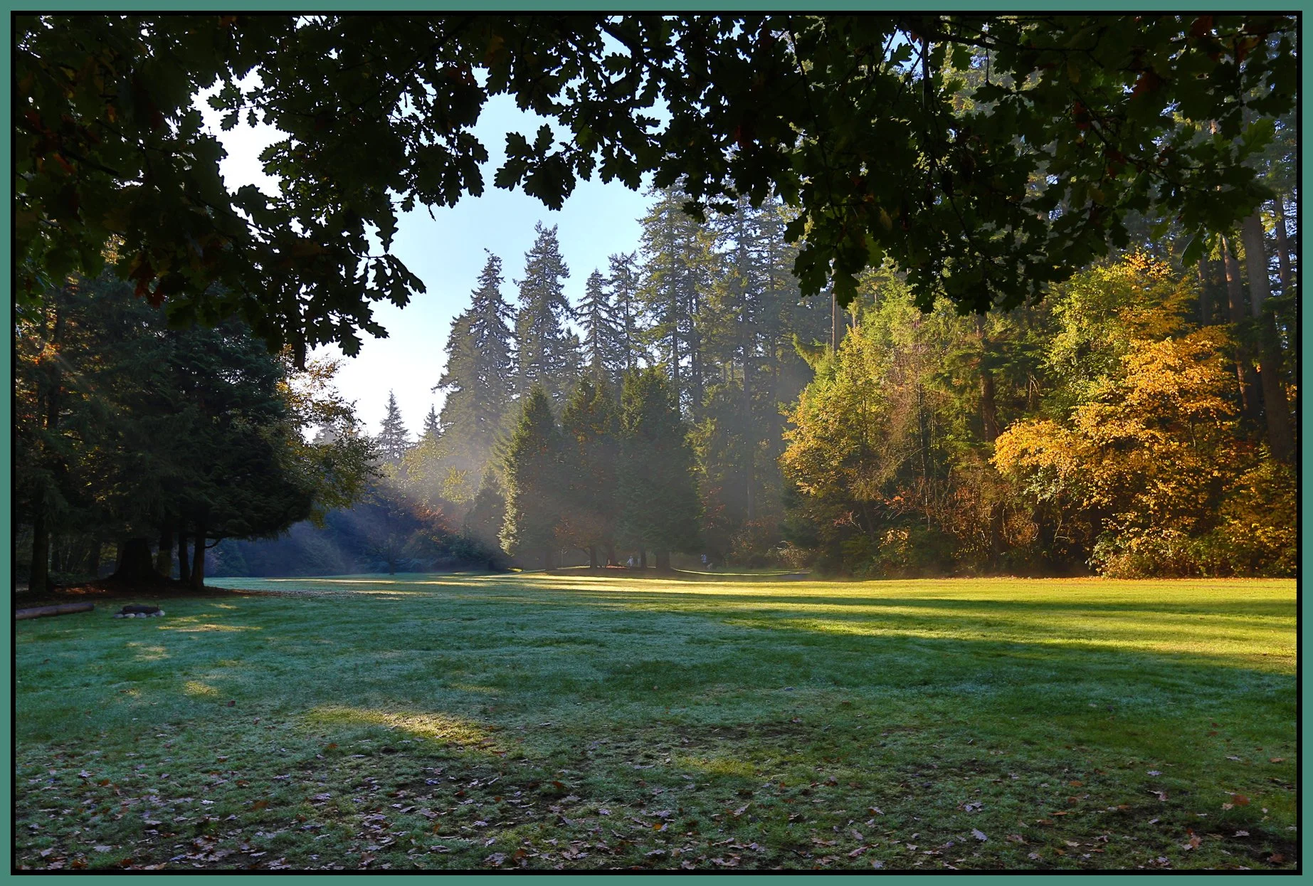 Central Pk_Oct 23_2013_HDR_D9082_4x6s.jpg