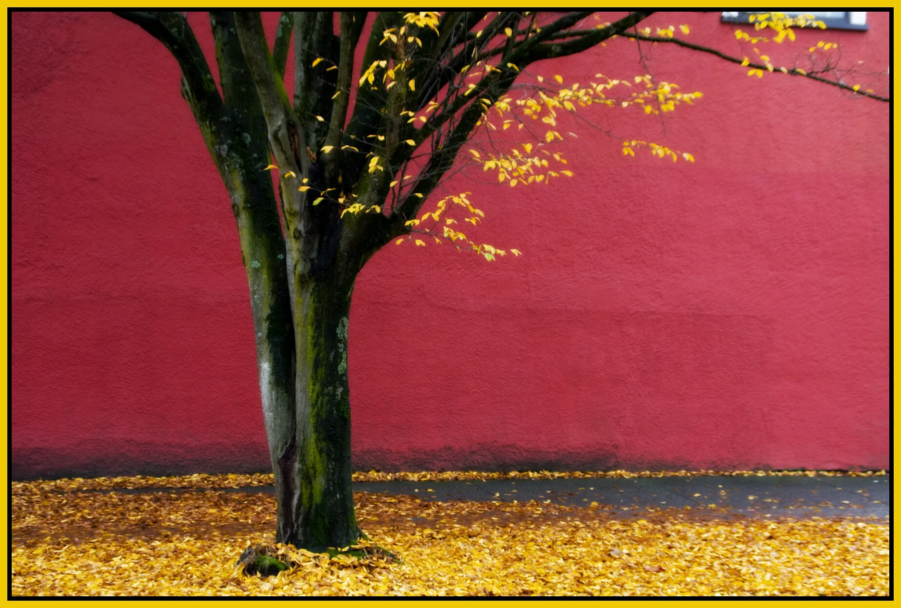 Bennys Mkt_Nov 08_8198_1_4x6s.jpg