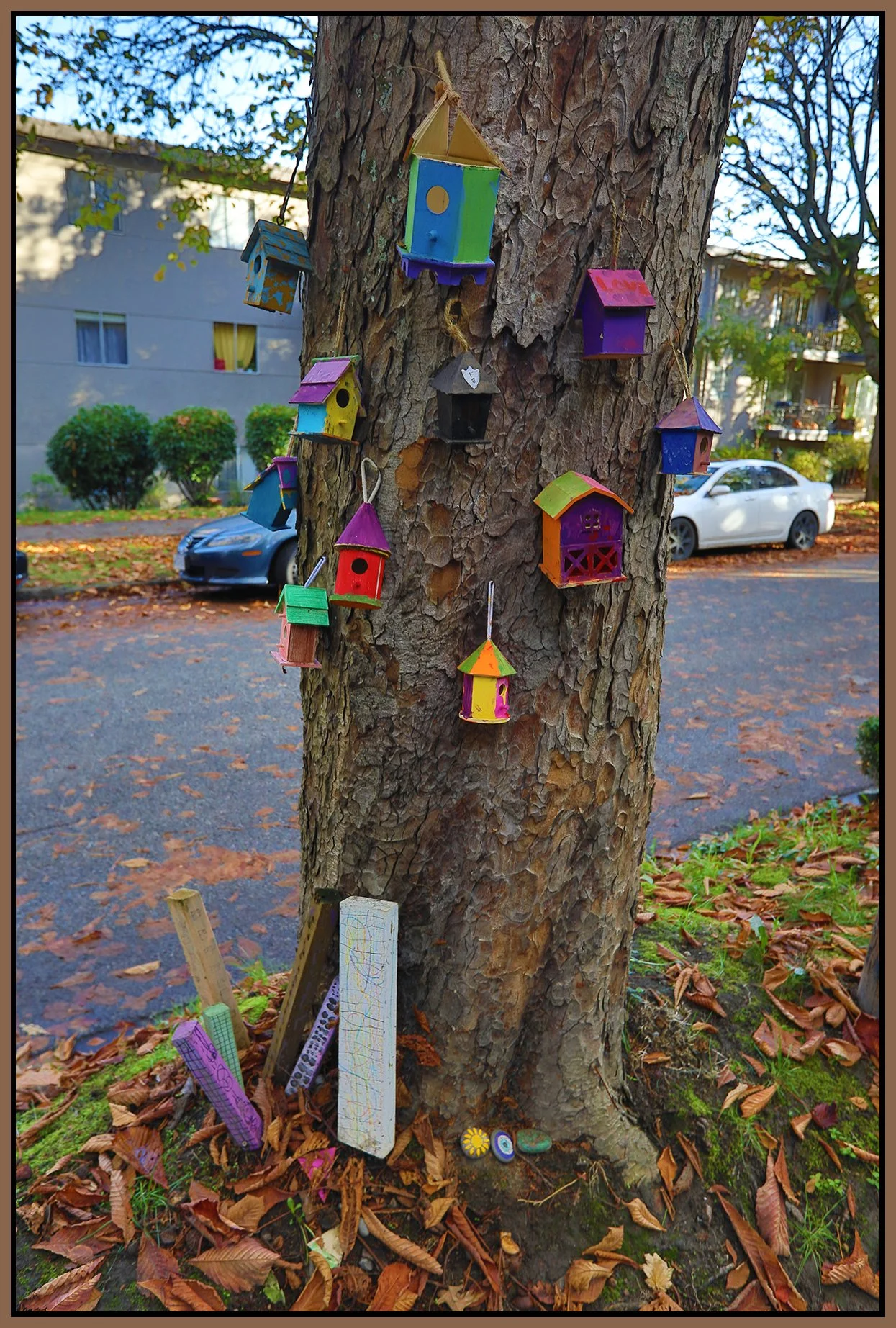 Tree on W10 th Ave_Oct 11_2023_HDR_5C7356_4x6s.jpg