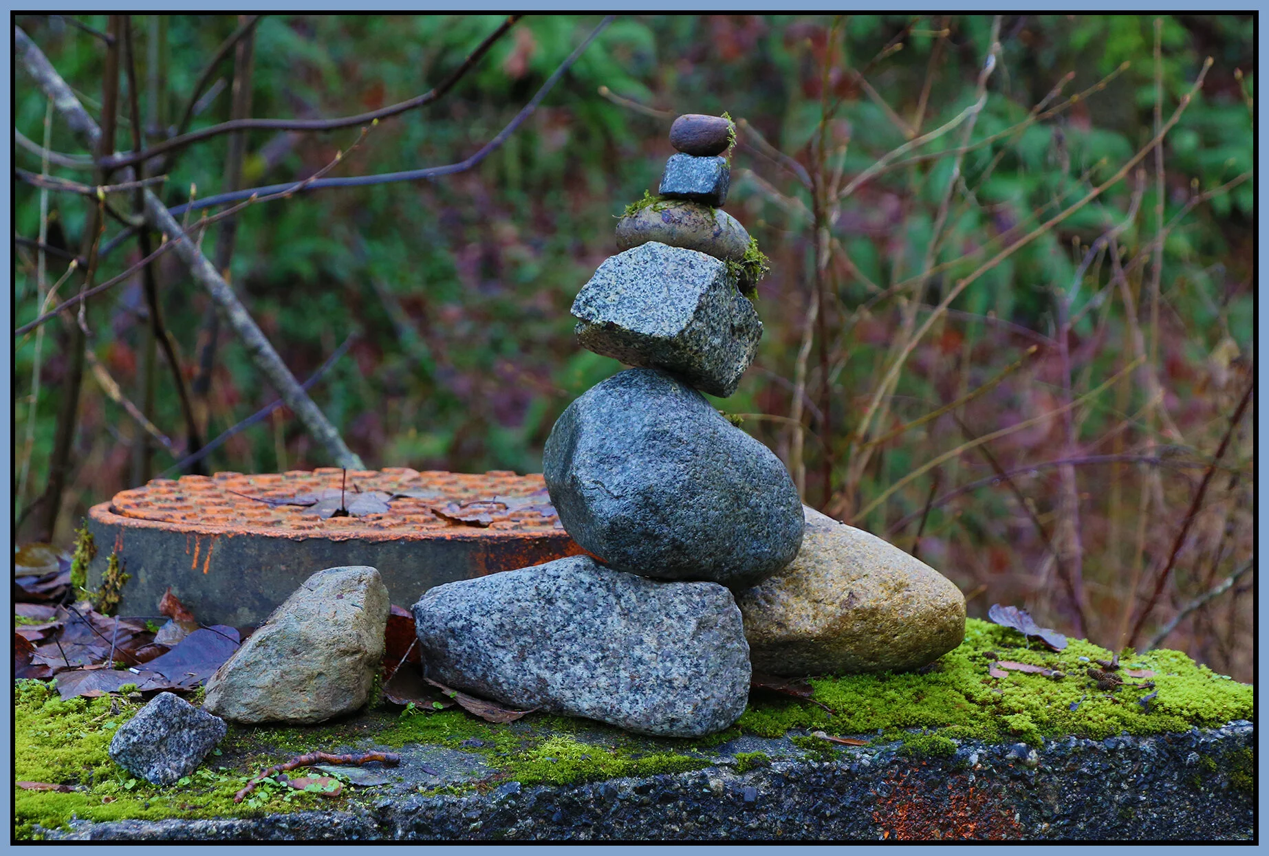 New Westminster Ravine Art_Dec 2_2020_HDR_3B6161_4x6s.jpg