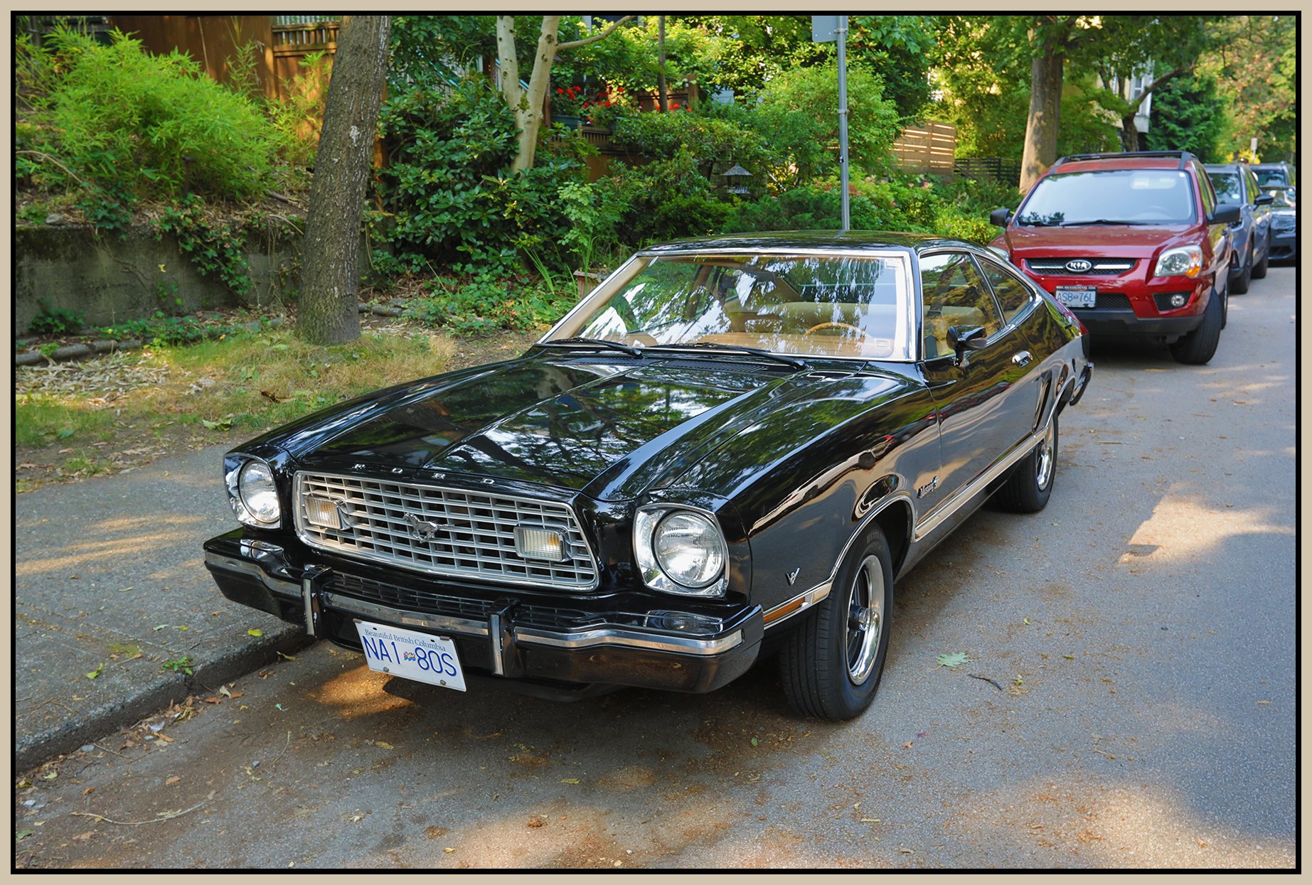 Ford Mustang 1976_Aug 13_2026_HDR_4L0267_4x6s.jpg