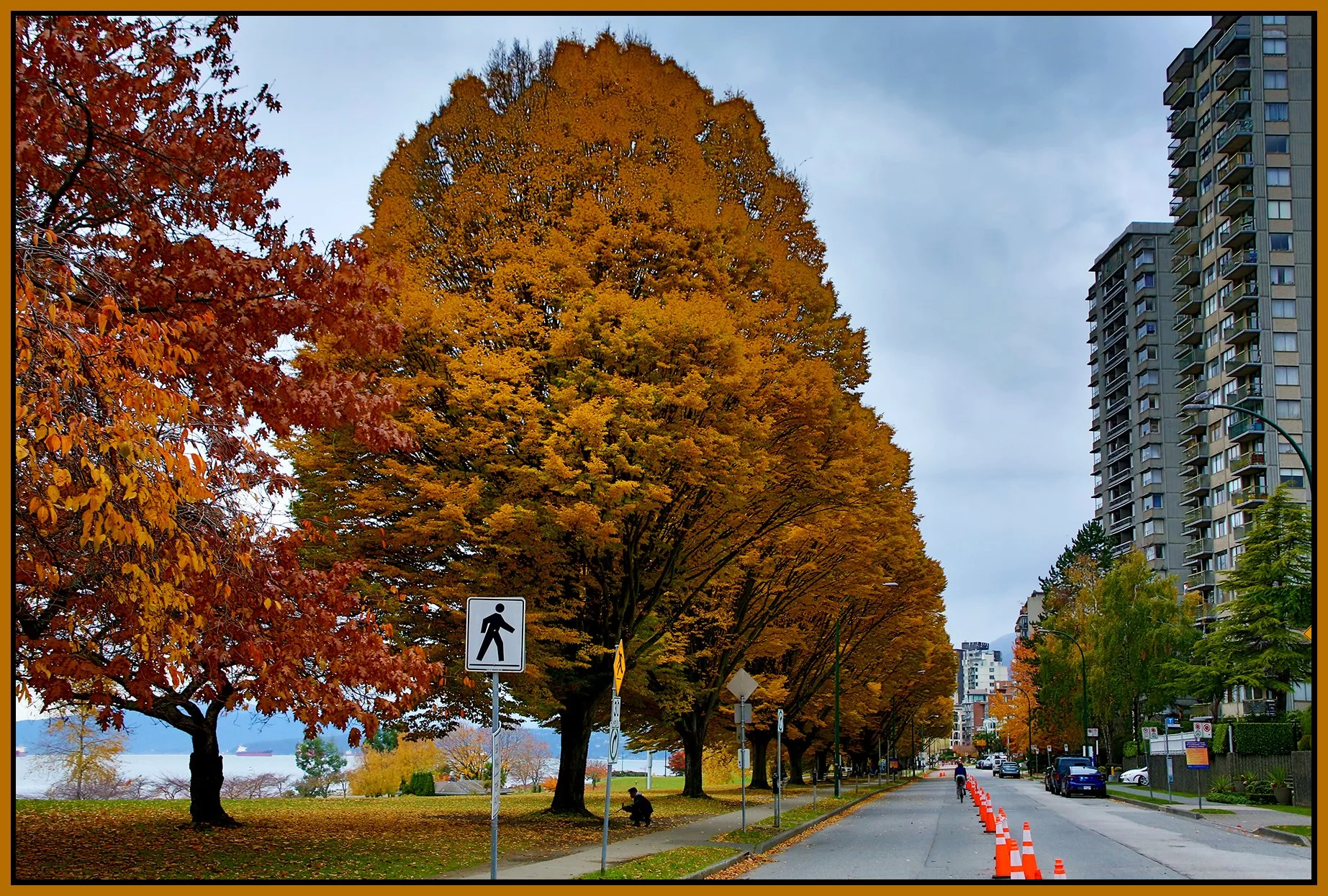 English Bay Fall Trees_Nov 12_2020_HDR_3B5365_4x6s.jpg