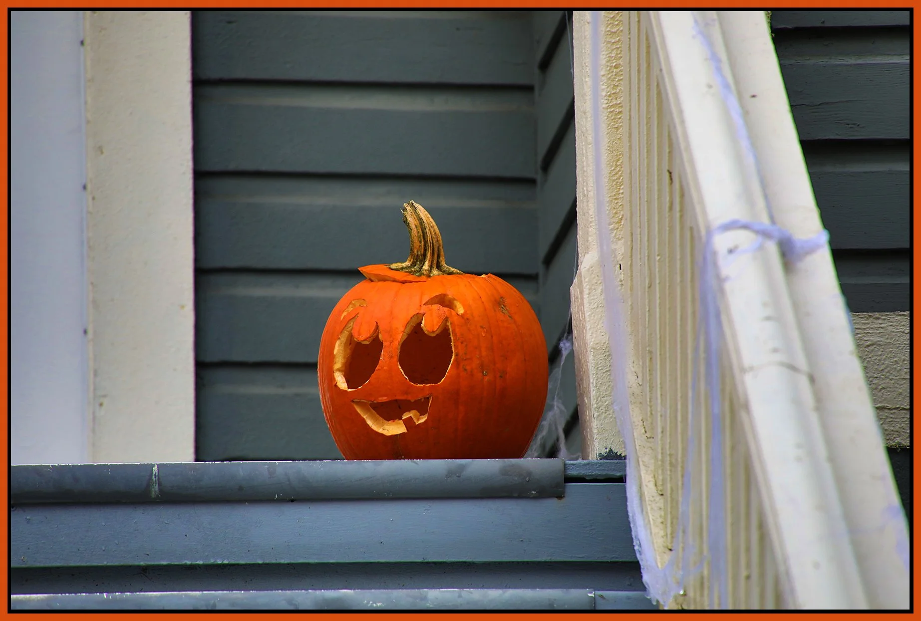 Pumpkin_Nov 3_2024_HDR_5E3975_4x6s.jpg