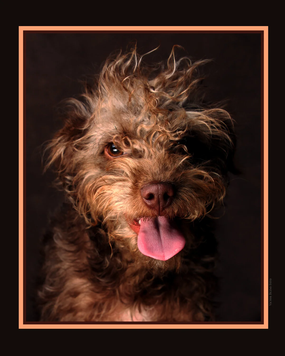 Frances Stewart_Apr 15_2015_F3503_peD_4x5.jpg