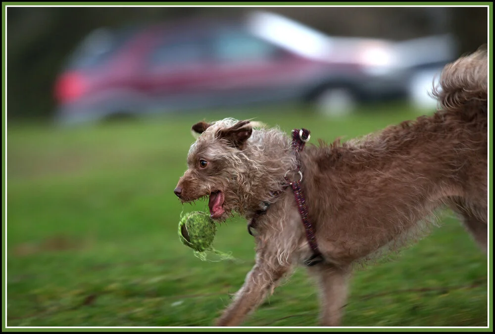 Frances in Cates Pk_Jan 24_2016_K7171_4x6s.jpg