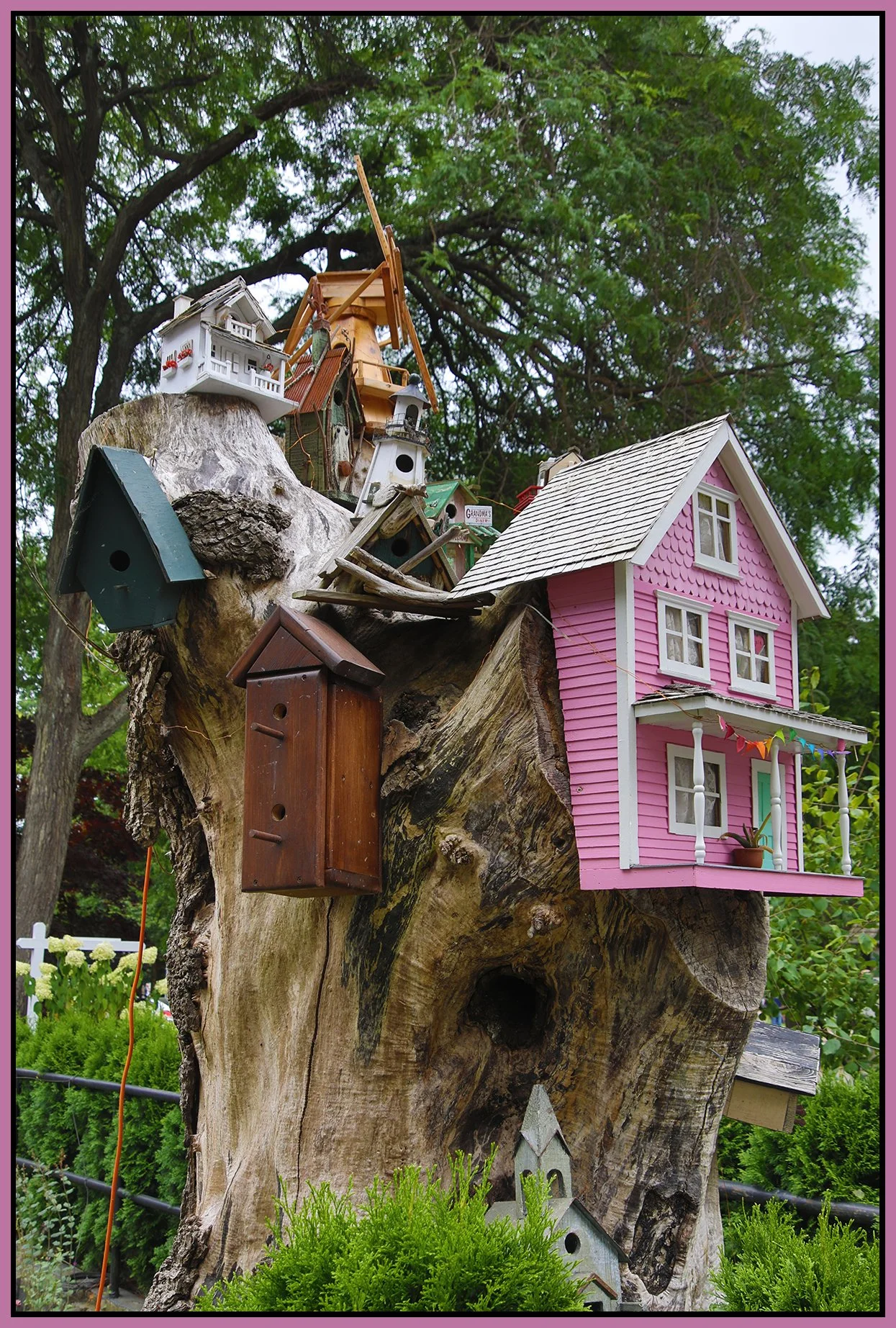 580 Heatley Tree House_Aug 14_2025_HDR_4K1052_4x6s.jpg