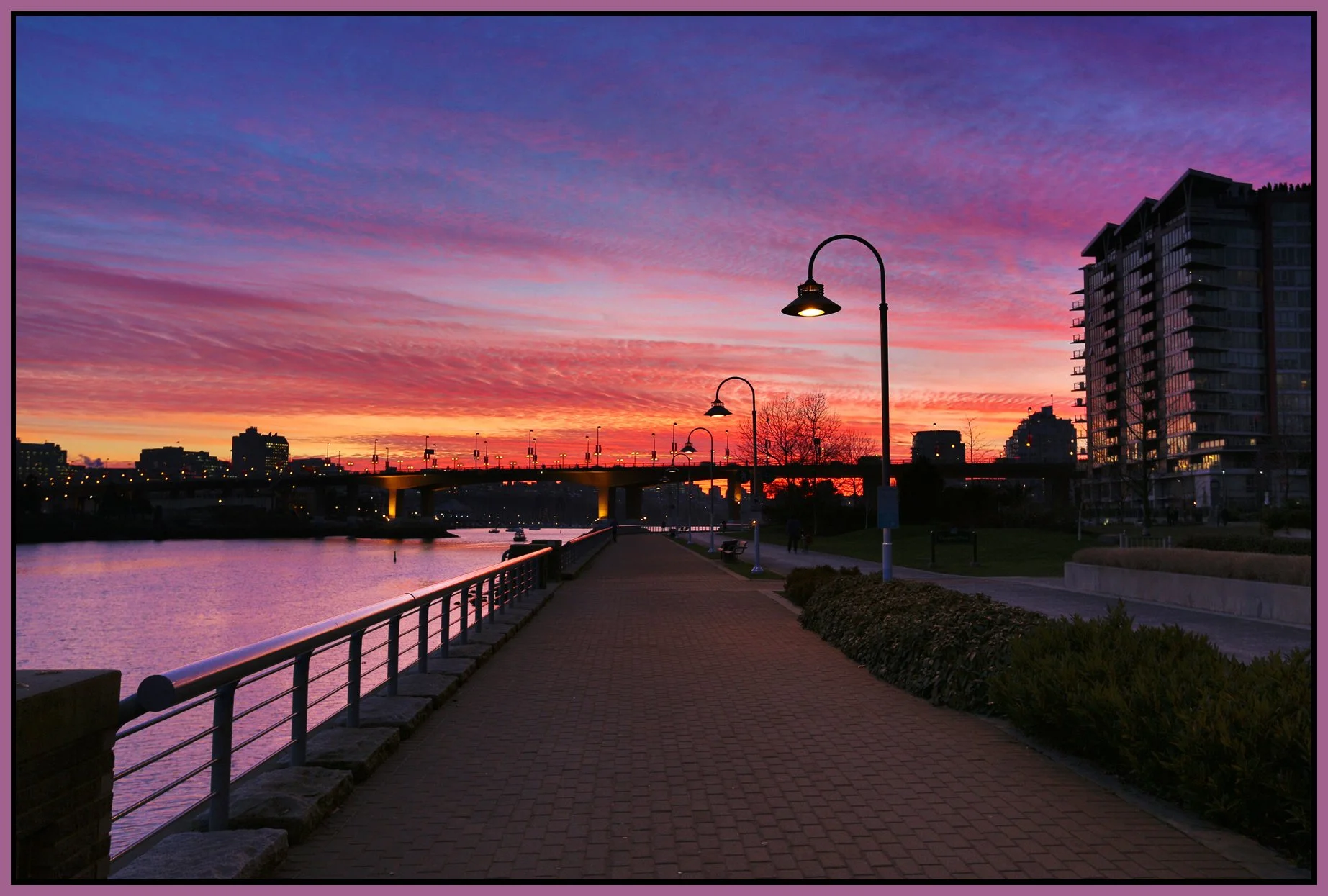 Cambie Bg_Jan 18_2013_HDR_C3491_4x6s.jpg