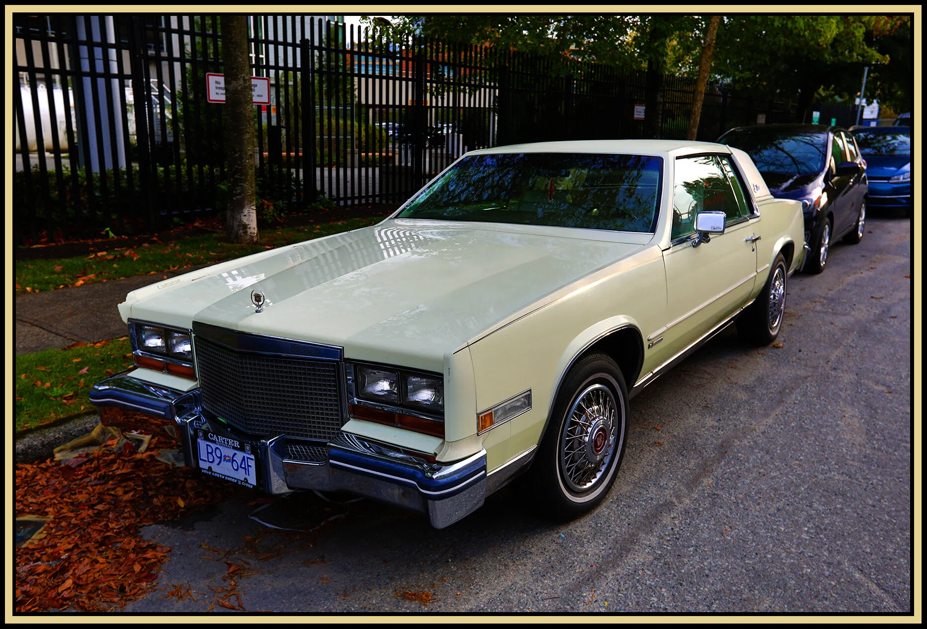 Cadillac Eldorado 1981_Oct 11_2020_HDR_4G8007_4x6s.jpg