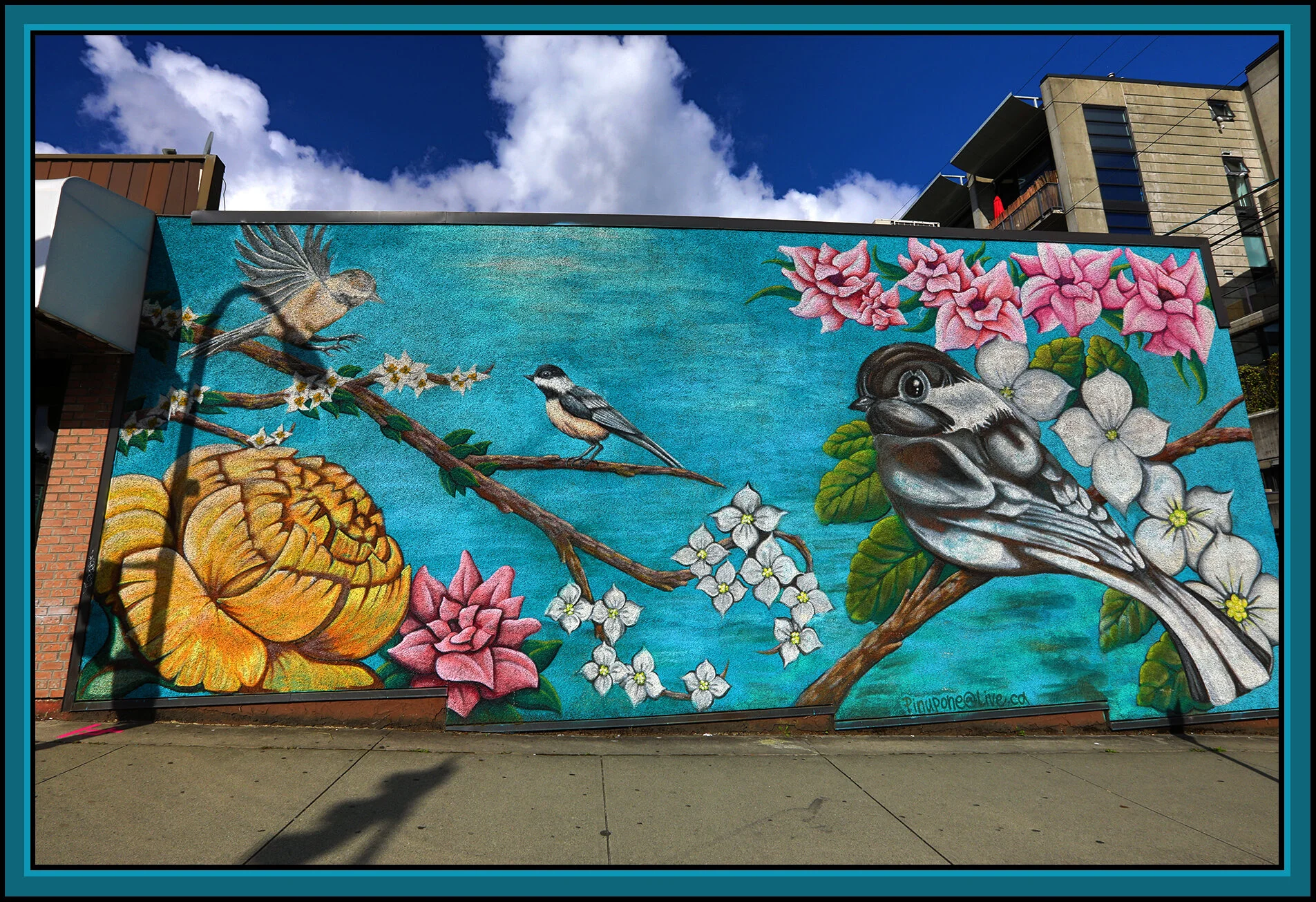 Yukon Ave Mural_Aug 22_2020_HDR_4G1785_4x6s.jpg