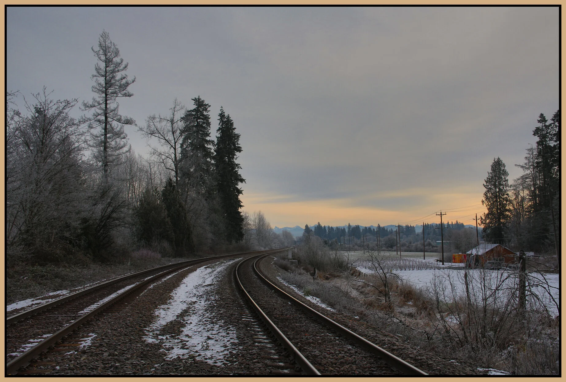 Langley Trees_Jan 2_2018_HDR_L0499_4x6s.jpg