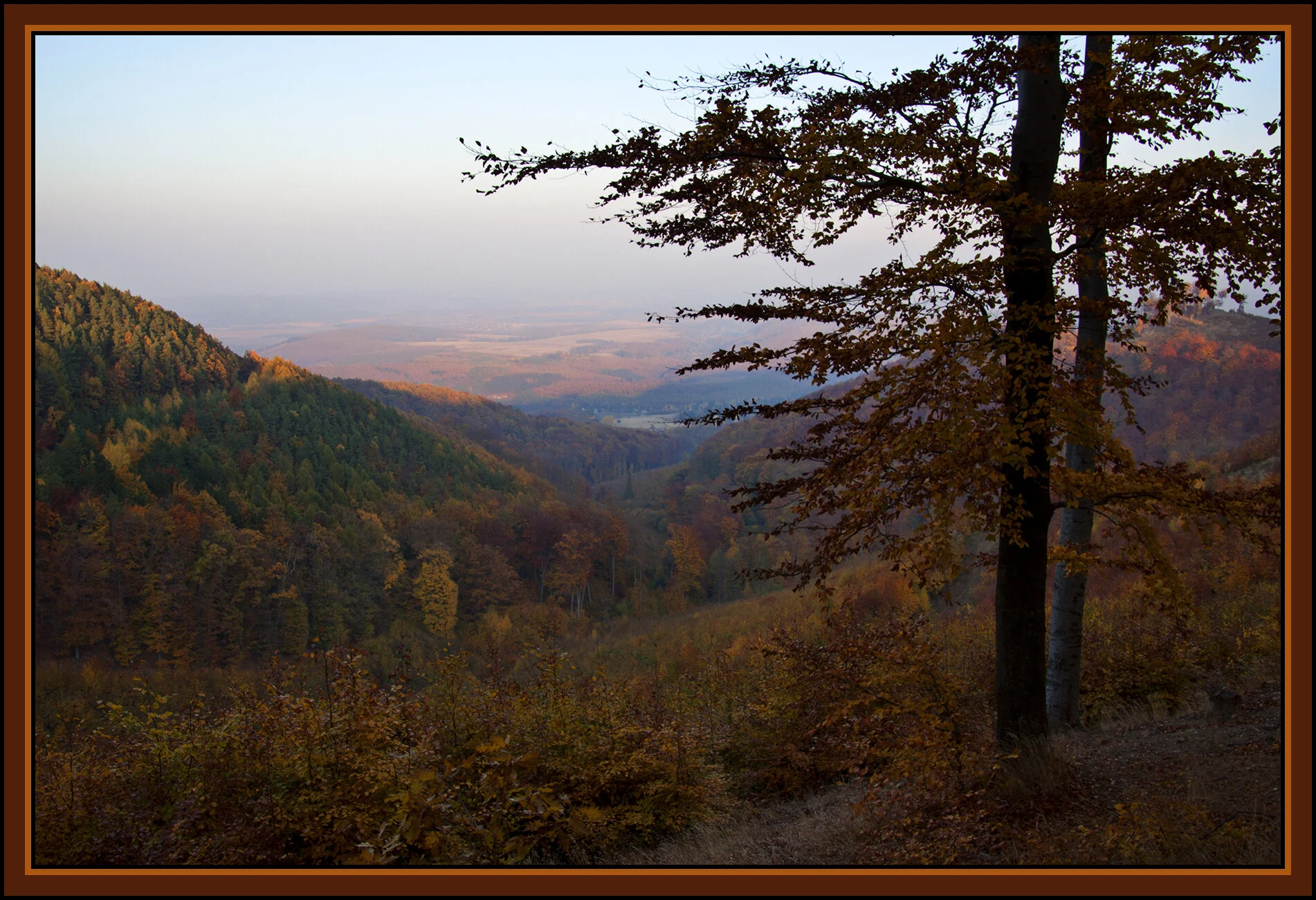 Mátra_Nov 1_2011_4175vel_1_4x6s.jpg