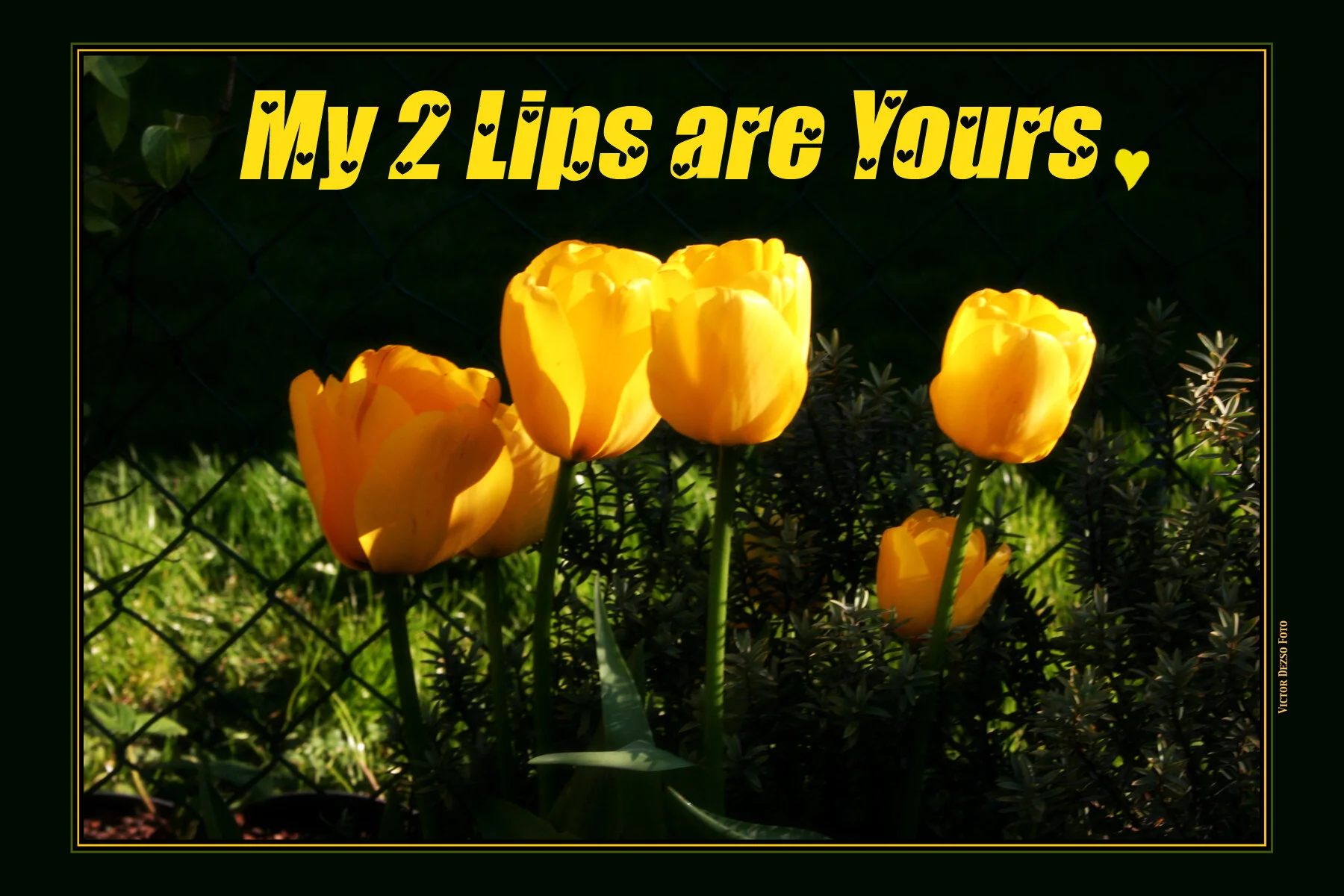 2 Lips_8668_4x6.jpg