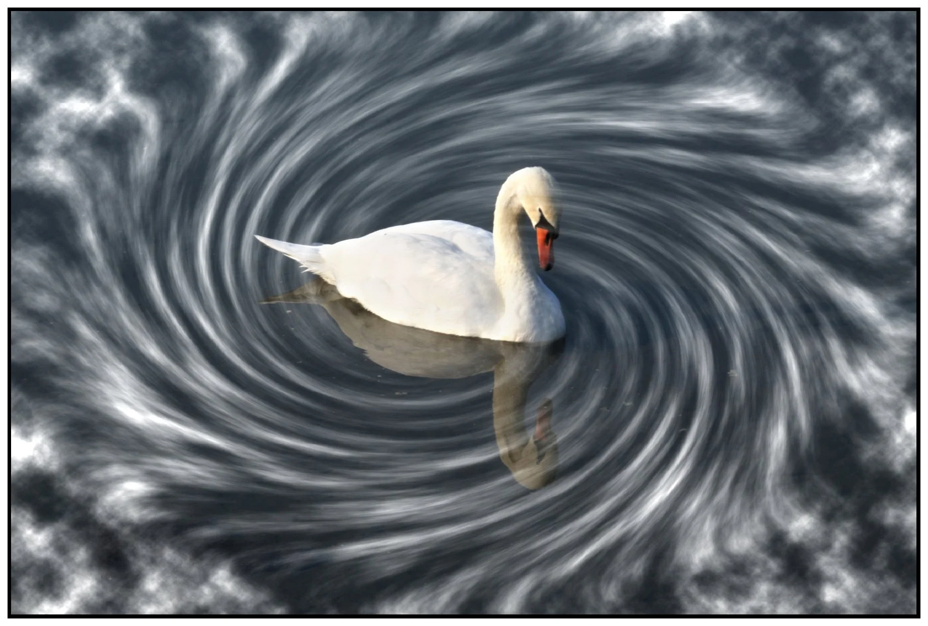 Balaton_Oct 31_2011_3712_peVortex_4x6s.jpg