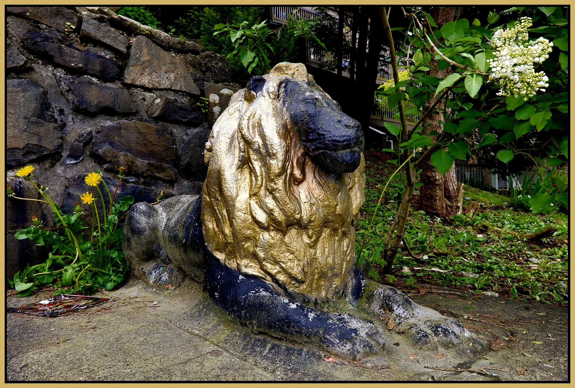 GNW Lion Art_May 6_2022_HDR_5B4106_peCs_4x6s.jpg
