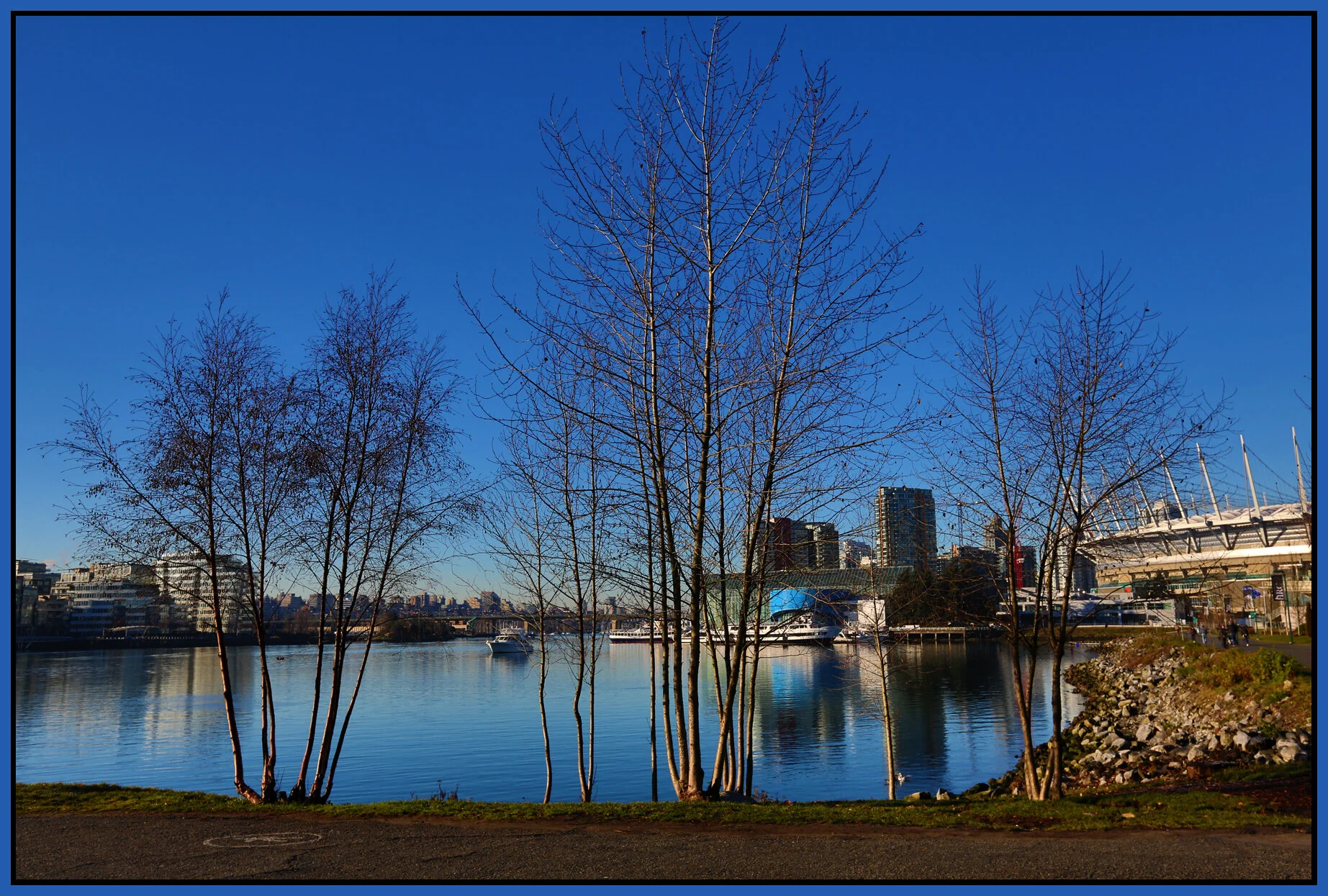 6 View Trees_Jan 9_2016_HDR_K3346_4x6s.jpg