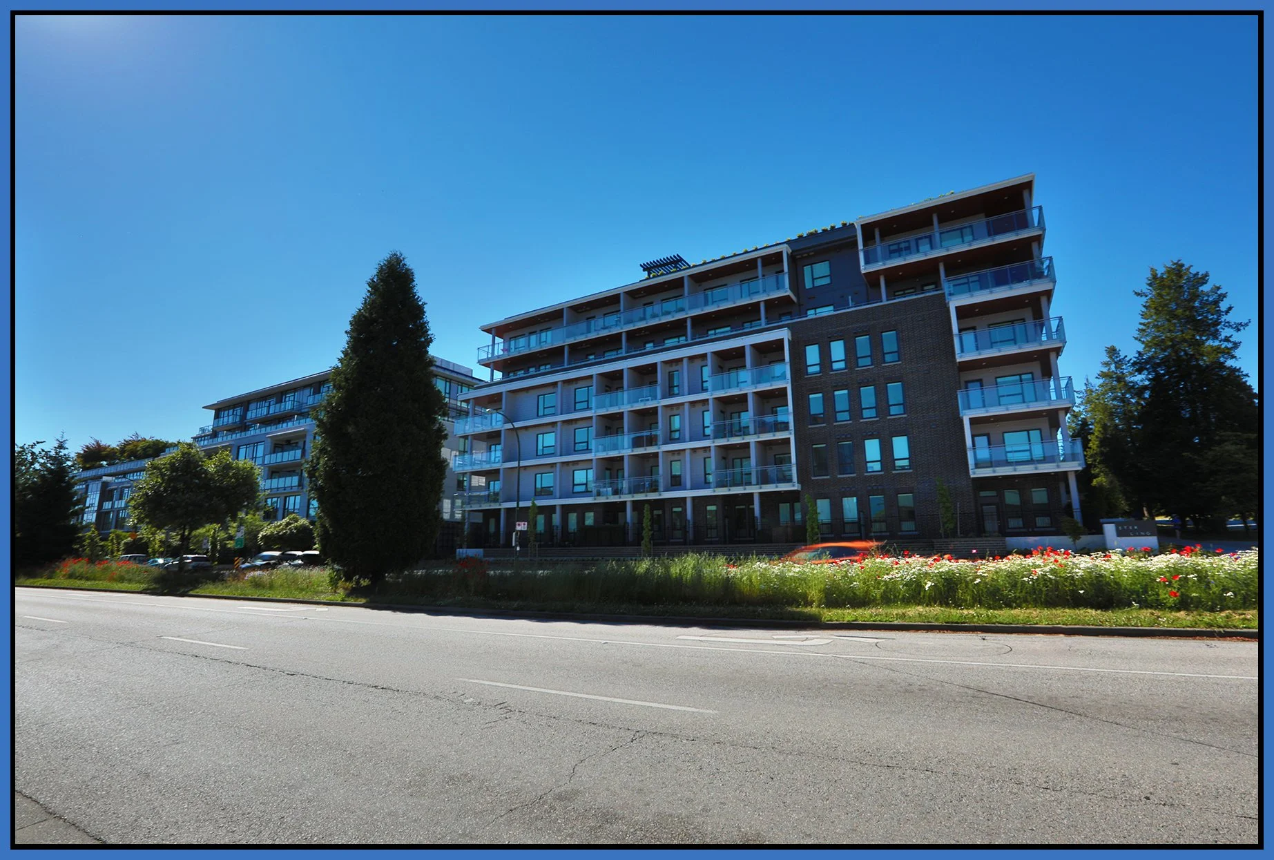 496 King Edward Blvd_Jun 8_2025_HDR_5F4207_4x6s.jpg